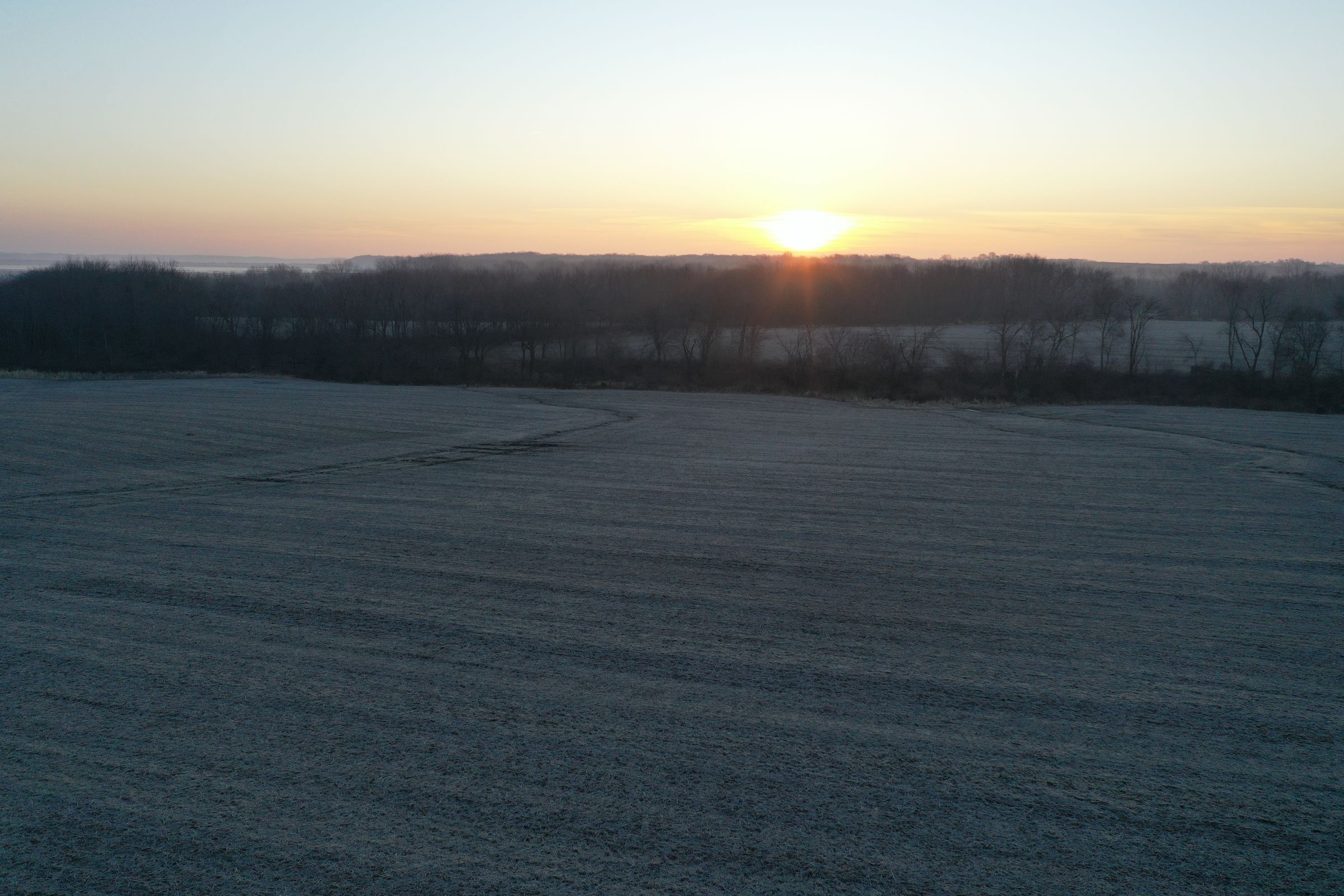 Row Crop Field6 - Swan, Iowa