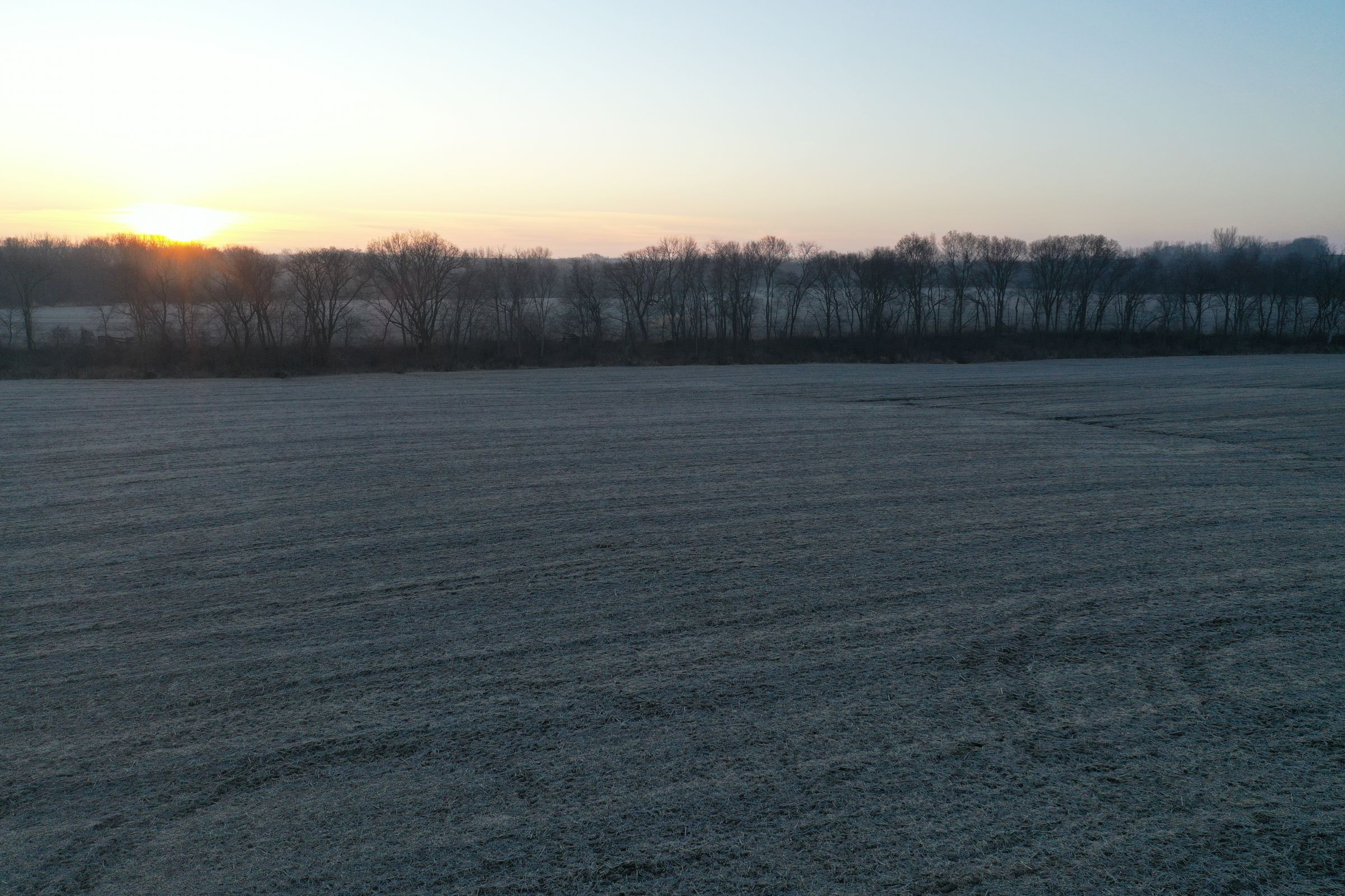 Row Crop Field7 - Swan, Iowa