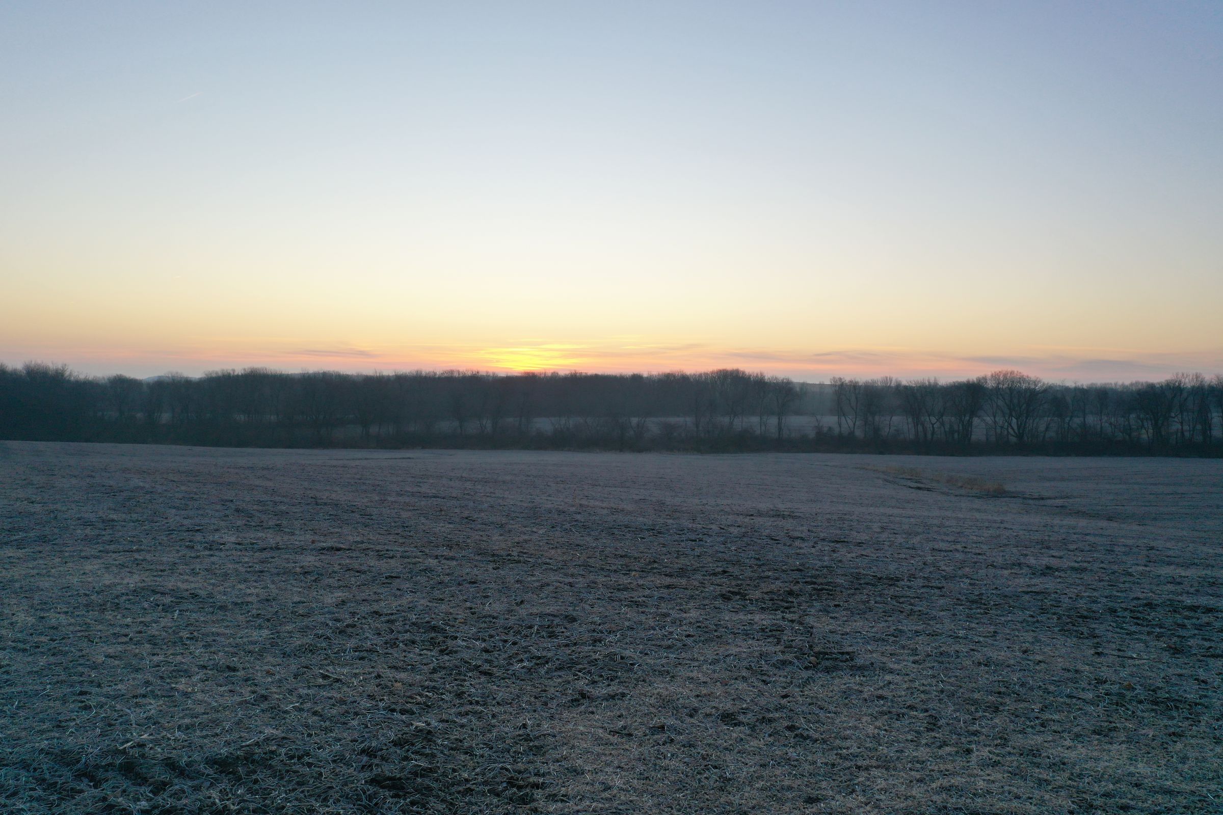 Row Crop Field8 - Swan, Iowa