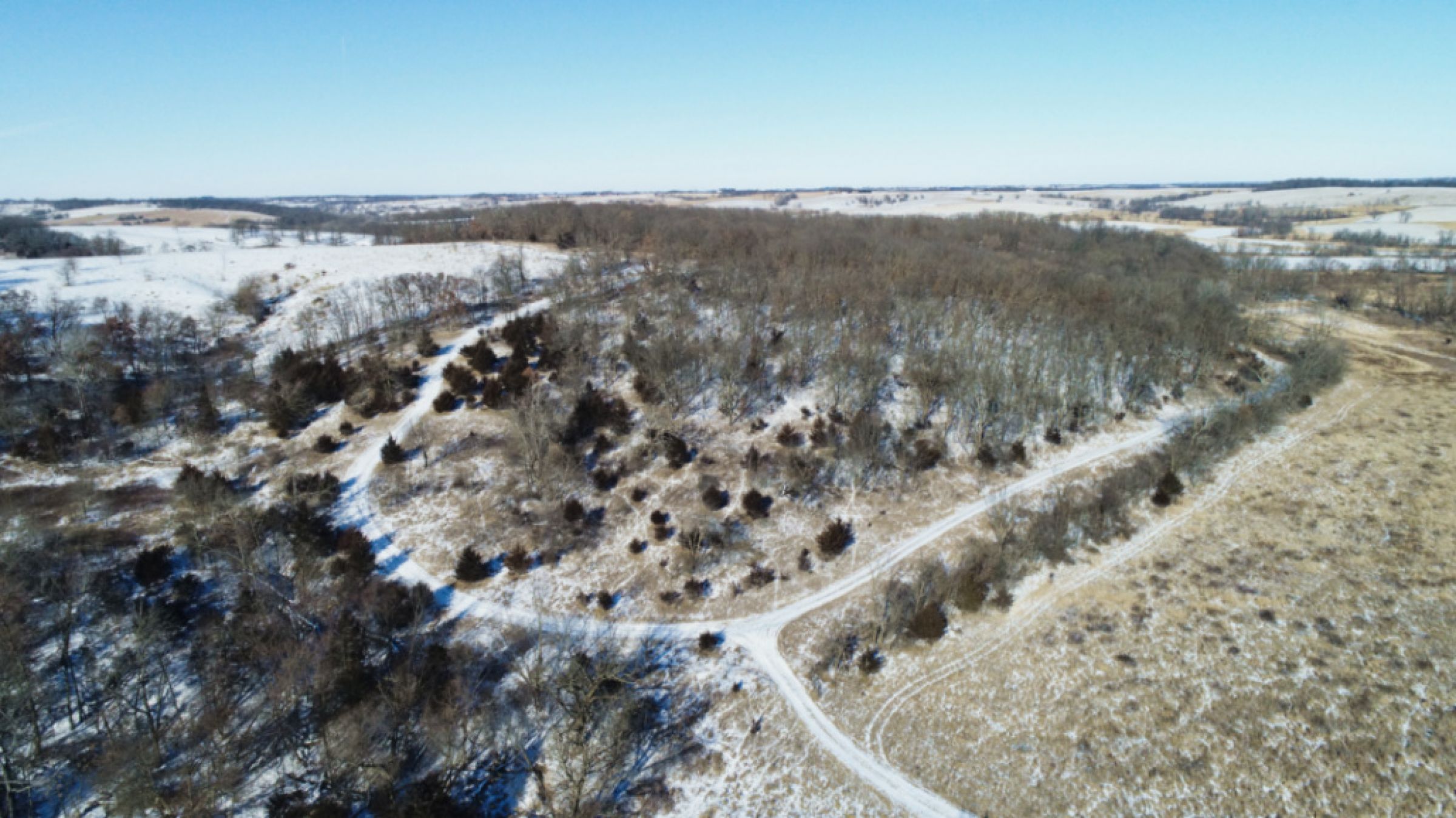 Peoples Company Land for Sale - #14818 - 187th Street, Patterson, IA 