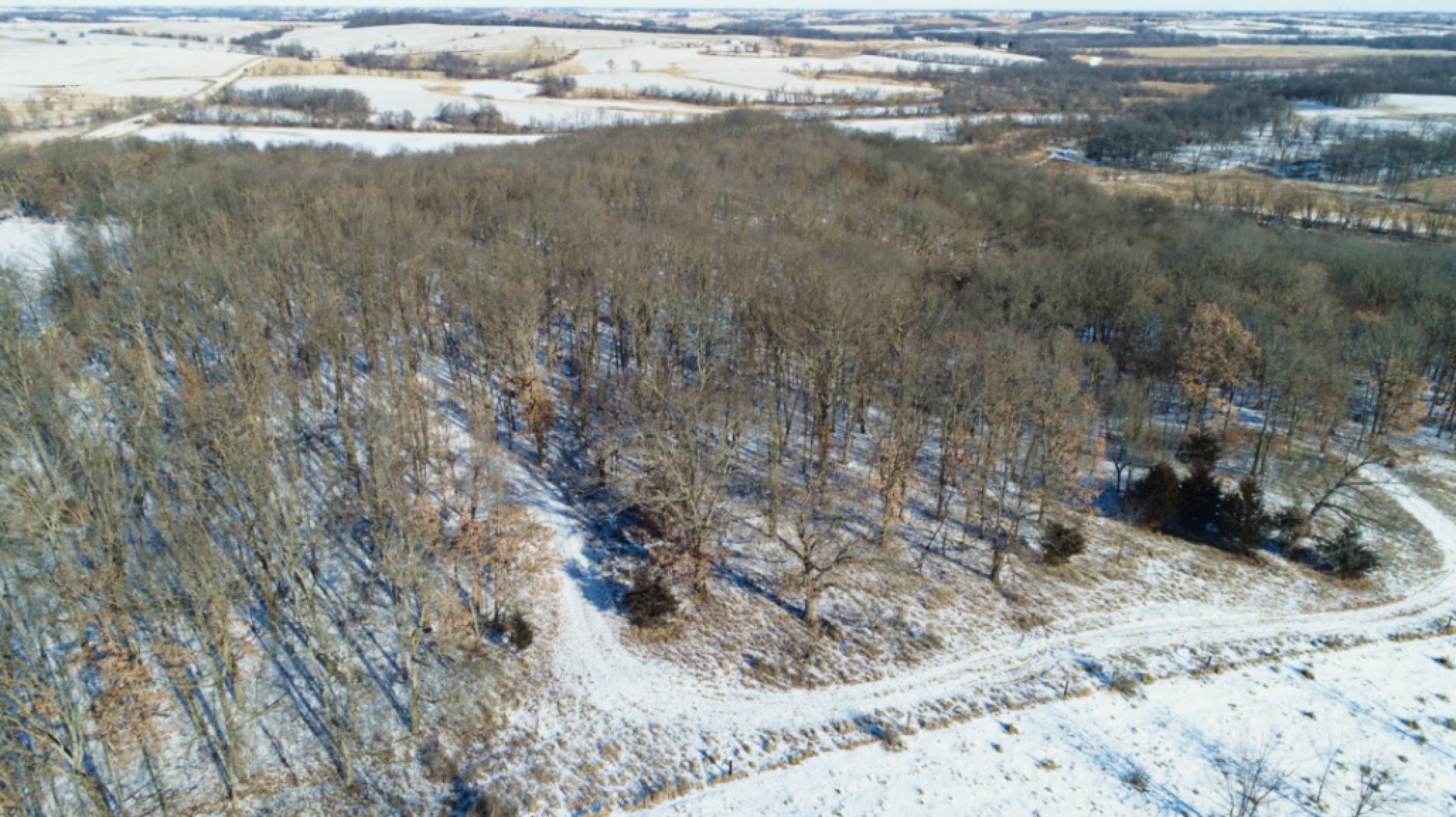 Peoples Company Land for Sale - #14818 - 187th Street, Patterson, IA 