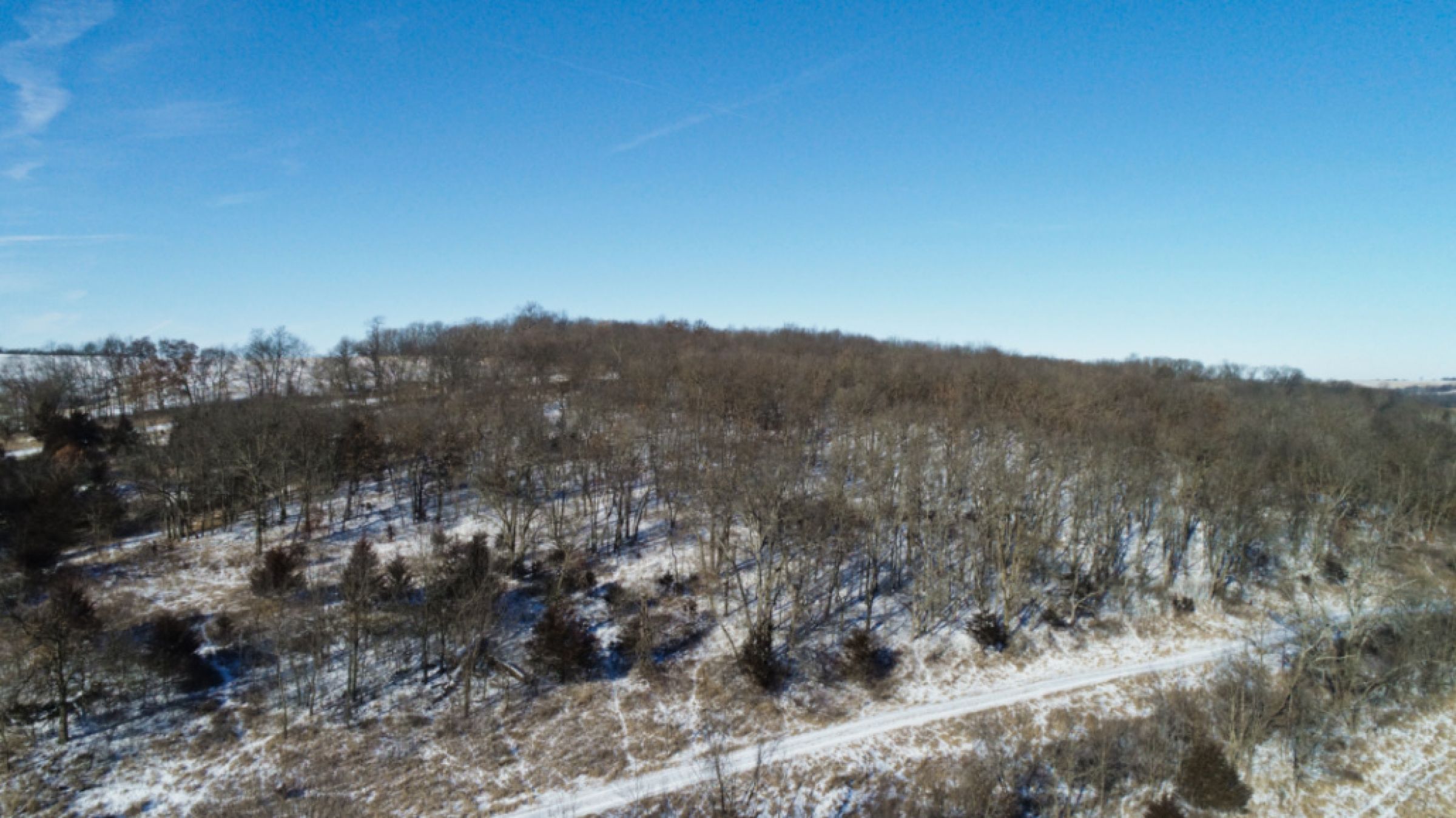 Peoples Company Land for Sale - #14818 - 187th Street, Patterson, IA 