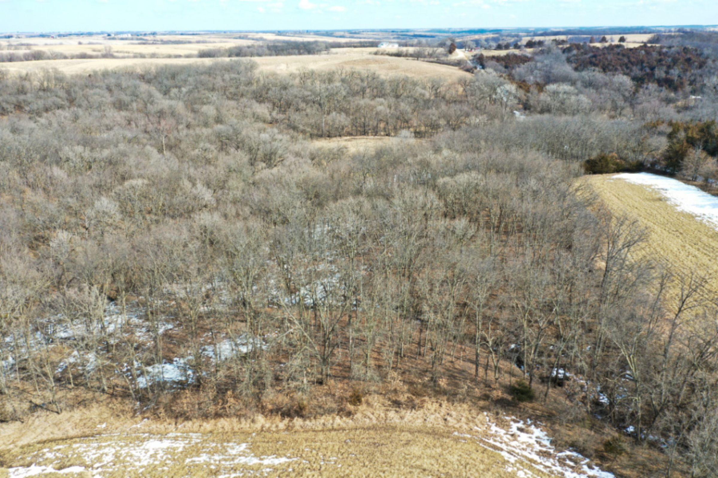 Peoples Company Land for Sale-Marion County, IA-#14849-wyoming-street-columbia-50057