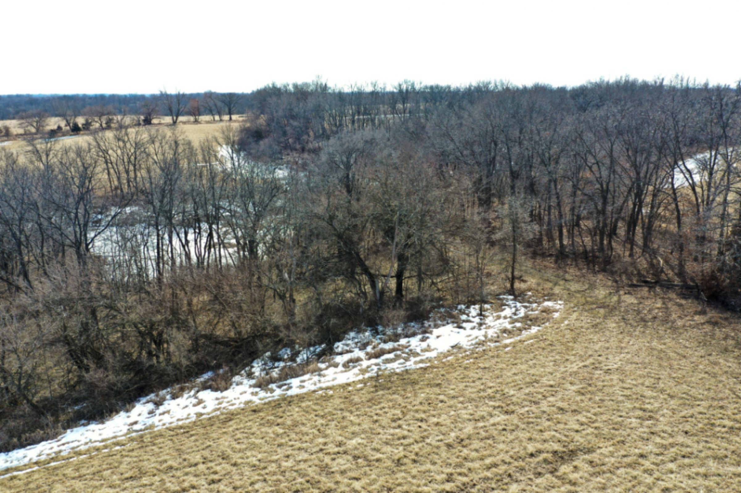 Peoples Company Land for Sale-Marion County, IA-#14849-wyoming-street-columbia-50057