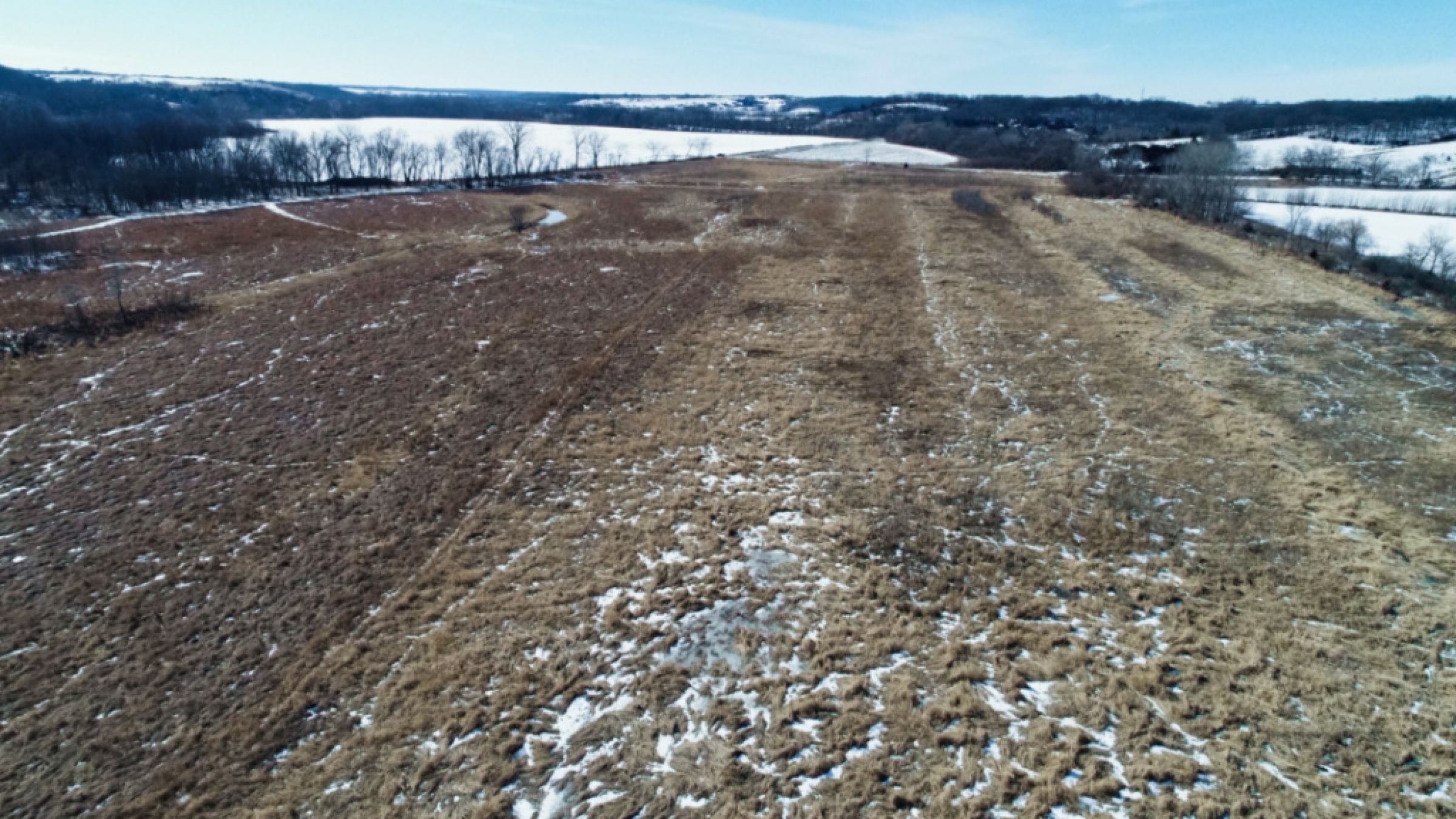 Madison County Farmland 13