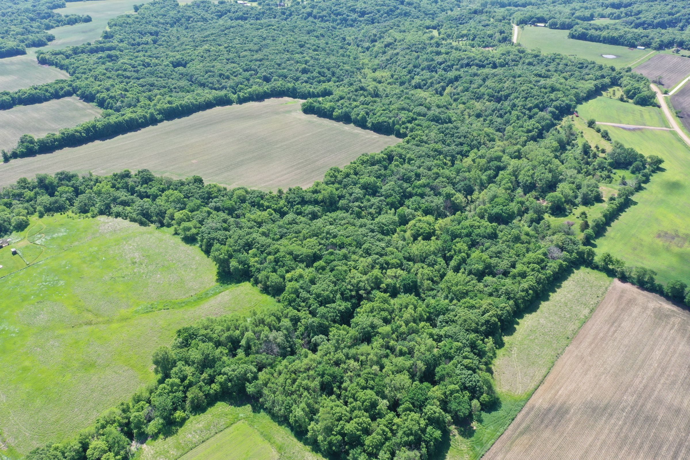 Listing 14943 Peoples Company