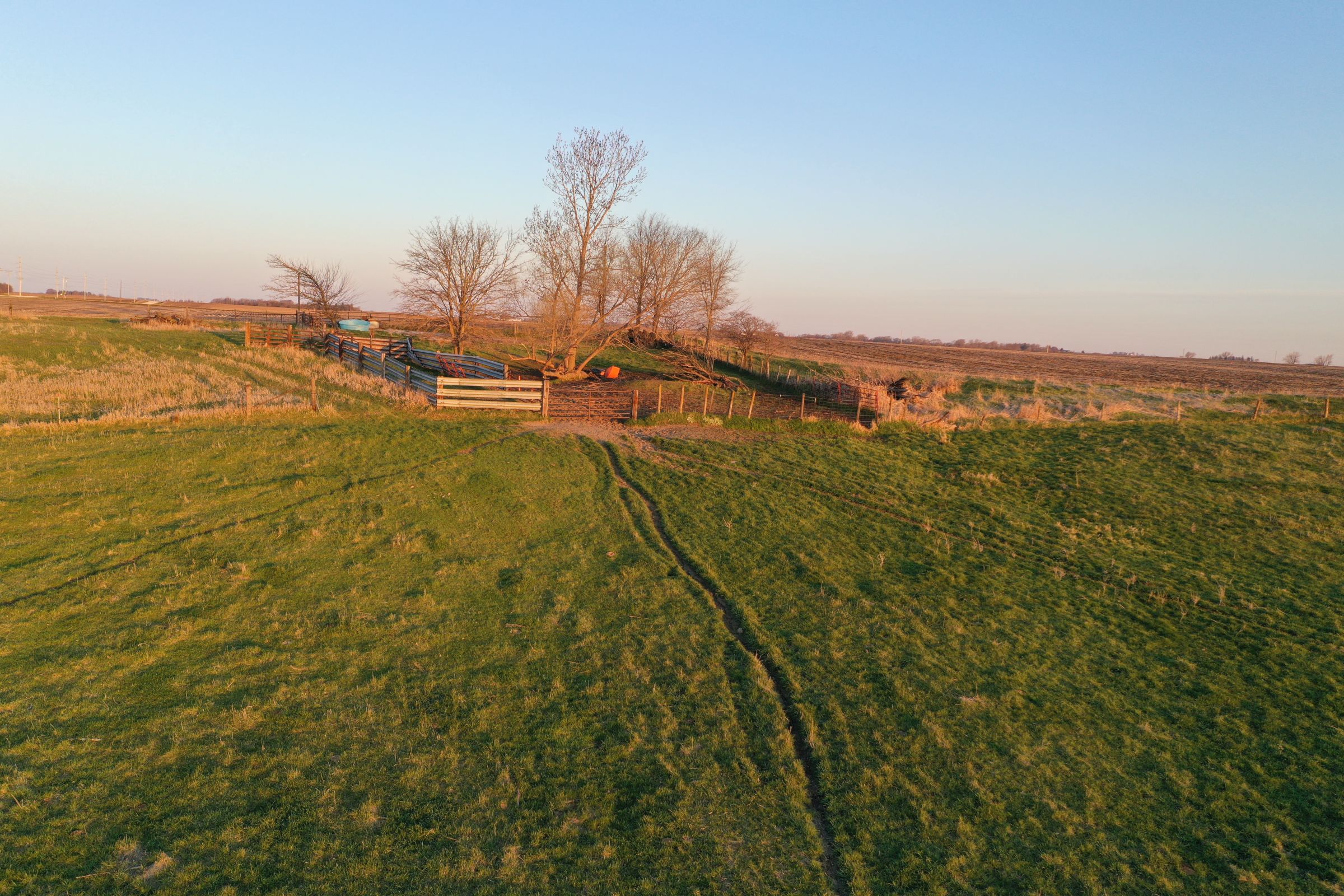 Dallas County Farmland and Pasture For Sale, Iowa