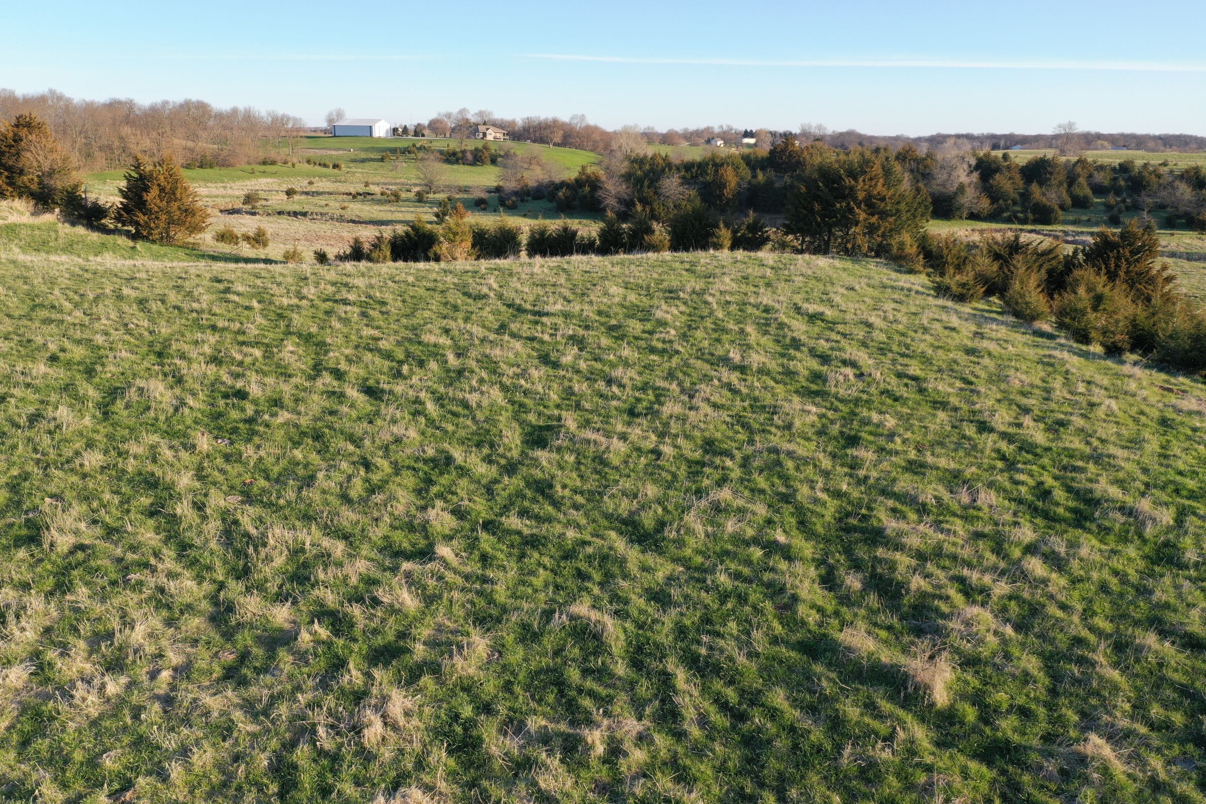 Dallas County Farmland and Pasture For Sale, Iowa