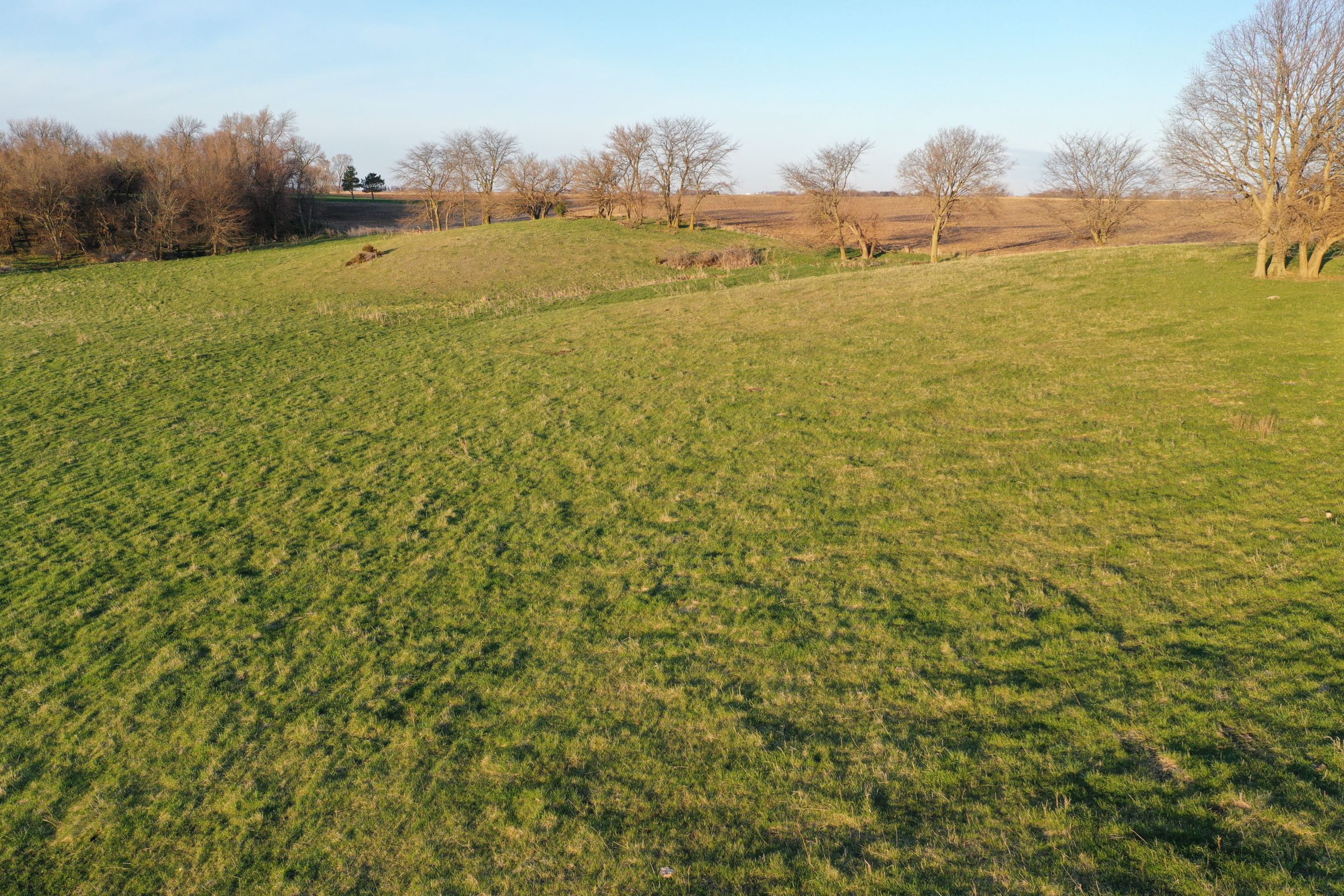 Dallas County Farmland and Pasture For Sale, Iowa