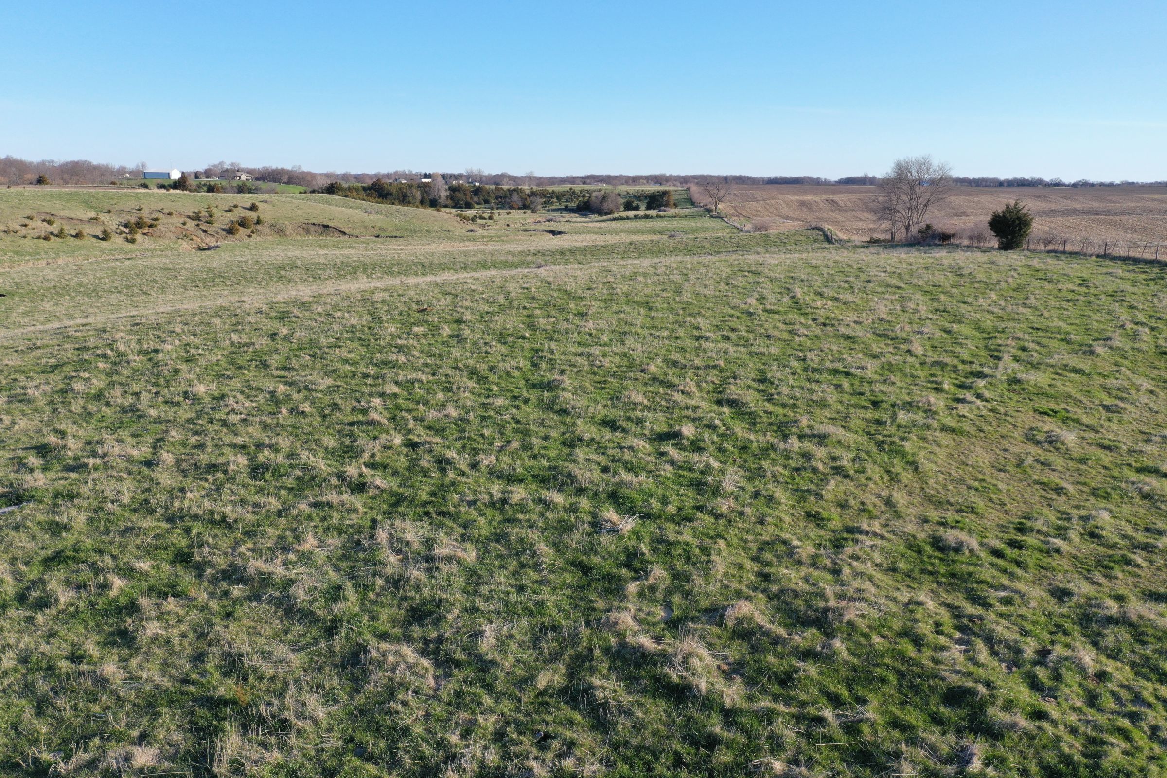 Dallas County Farmland and Pasture For Sale, Iowa