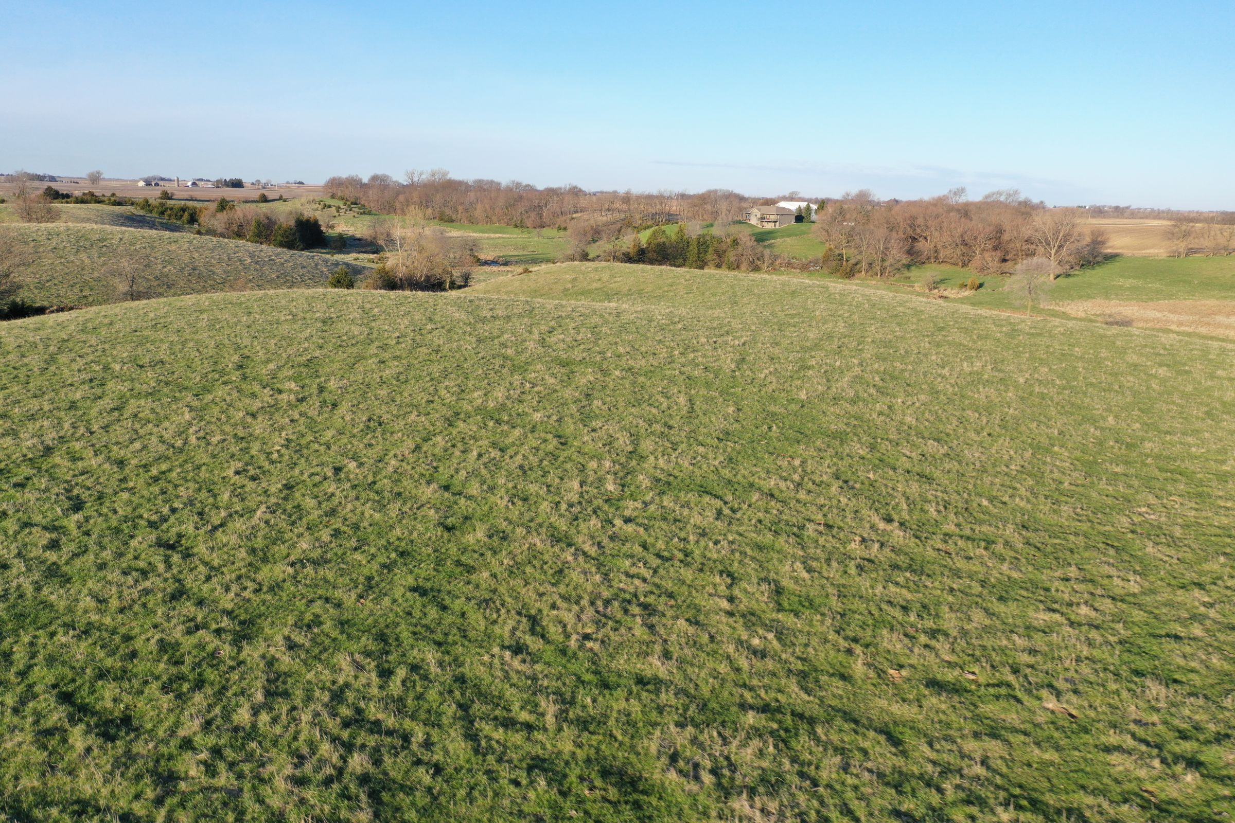 Dallas County Farmland and Pasture For Sale, Iowa