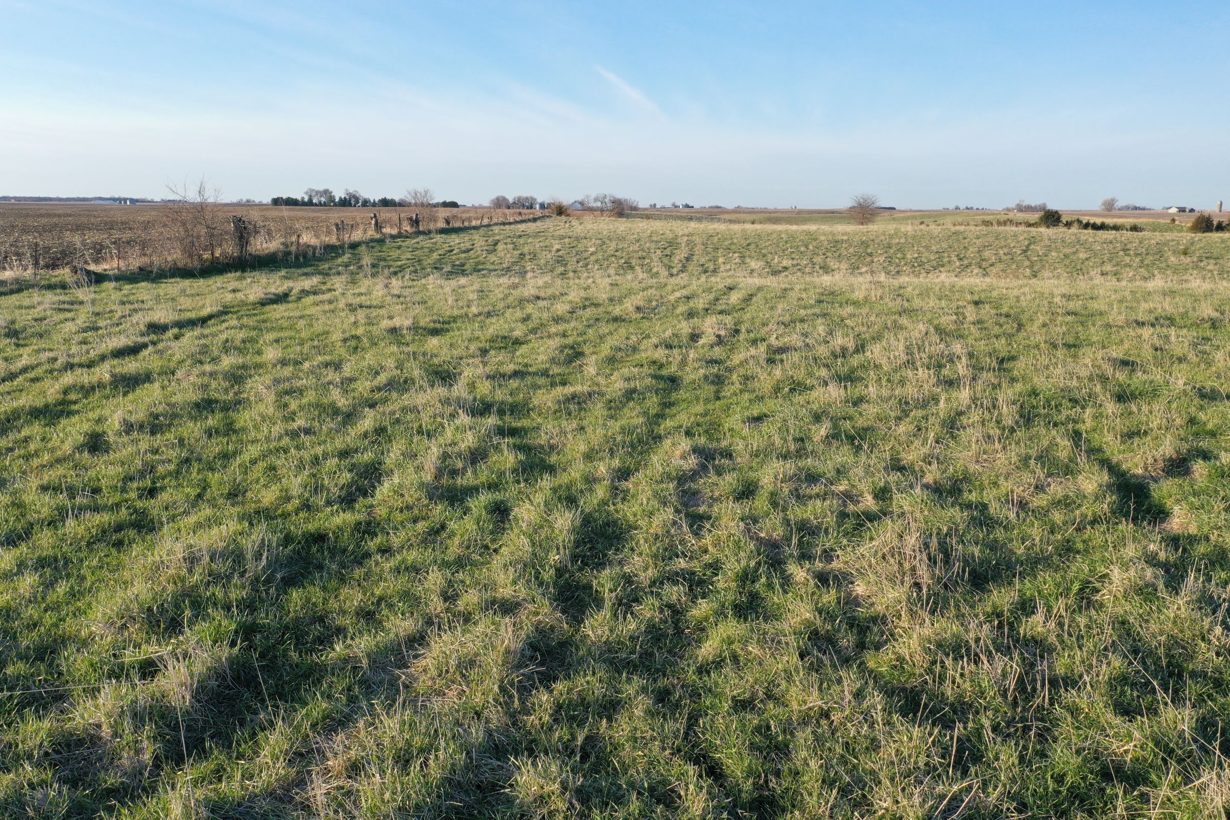 Dallas County Farmland and Pasture For Sale, Iowa