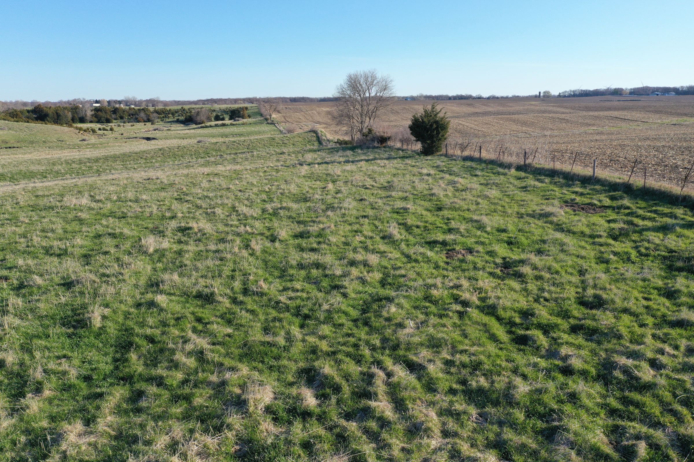 Dallas County Farmland and Pasture For Sale, Iowa