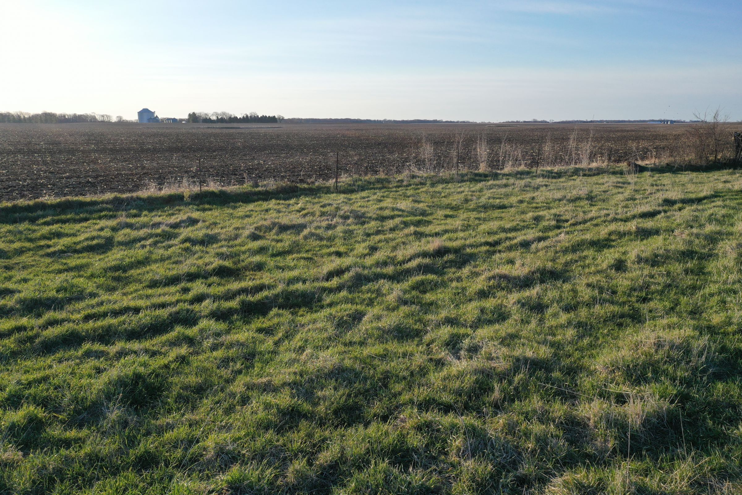 Dallas County Farmland and Pasture For Sale, Iowa