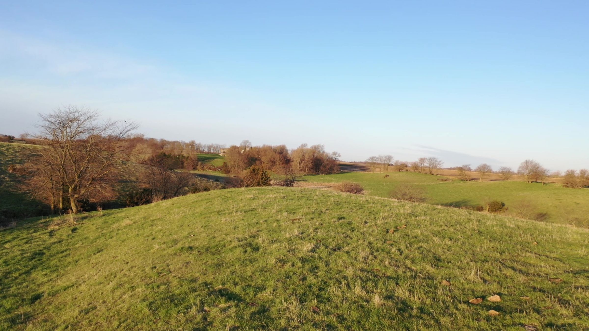 Dallas County Farmland and Pasture For Sale, Iowa