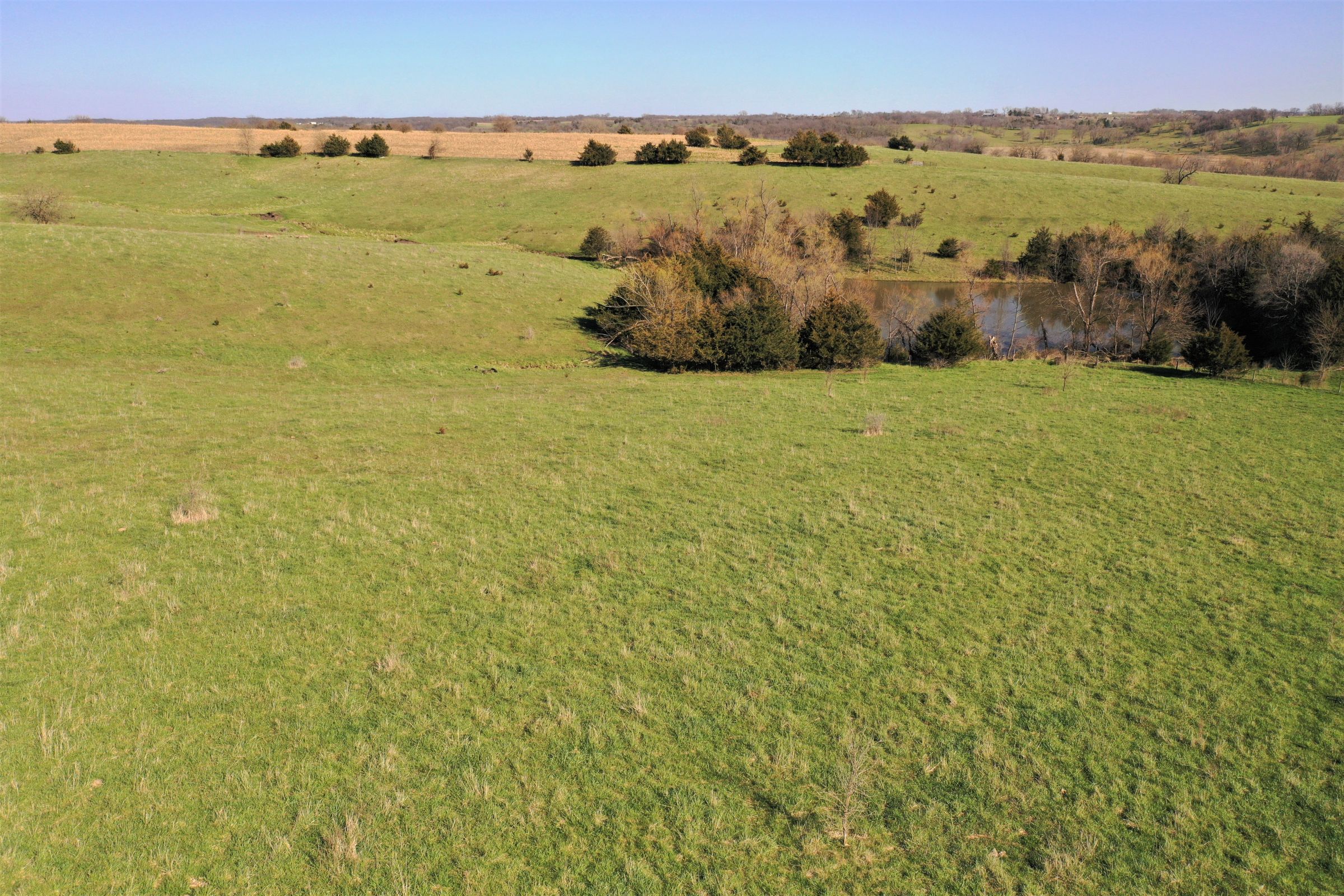 14.68 Acreage - Warren Co, IA