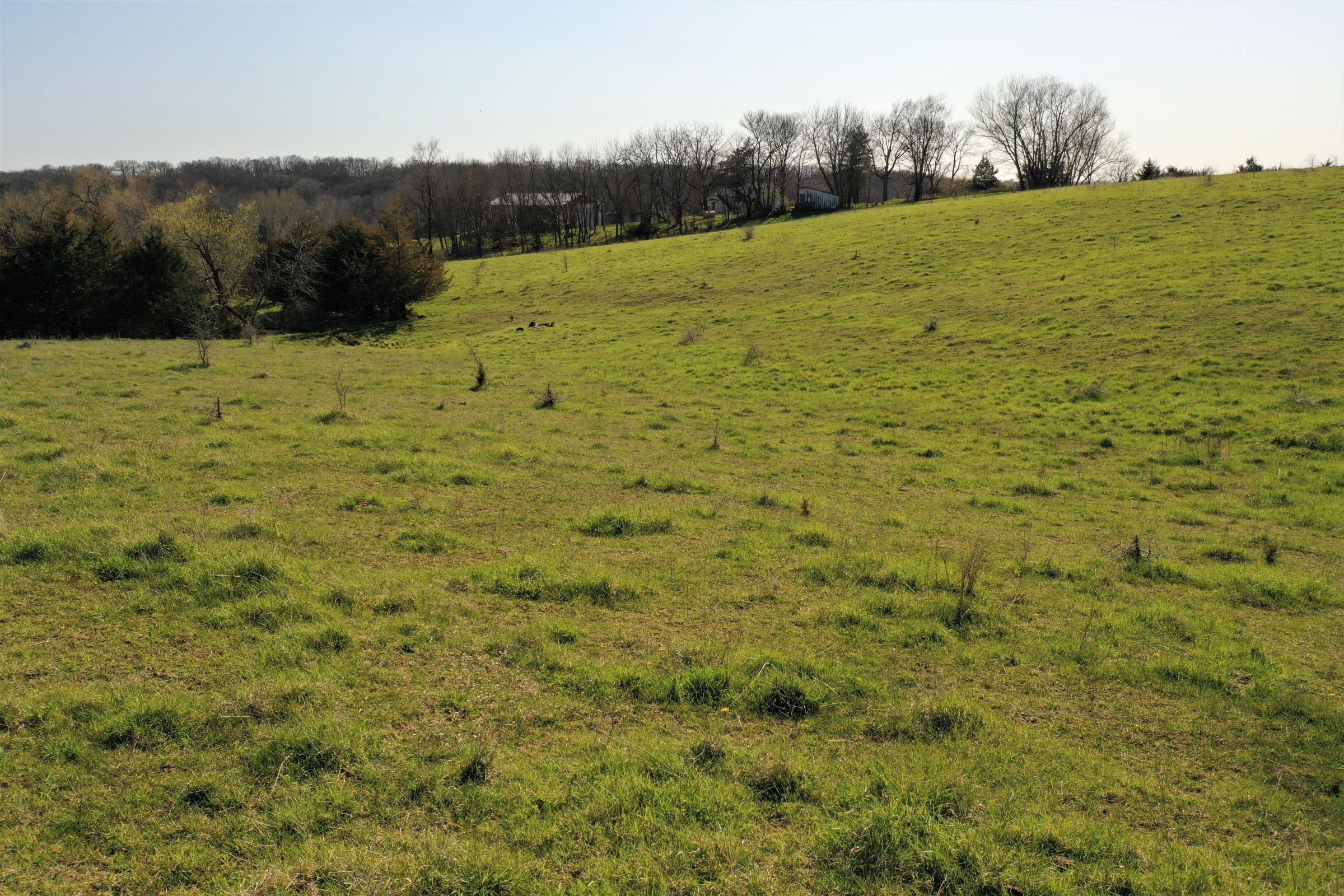 14.68 Acreage - Warren Co, IA