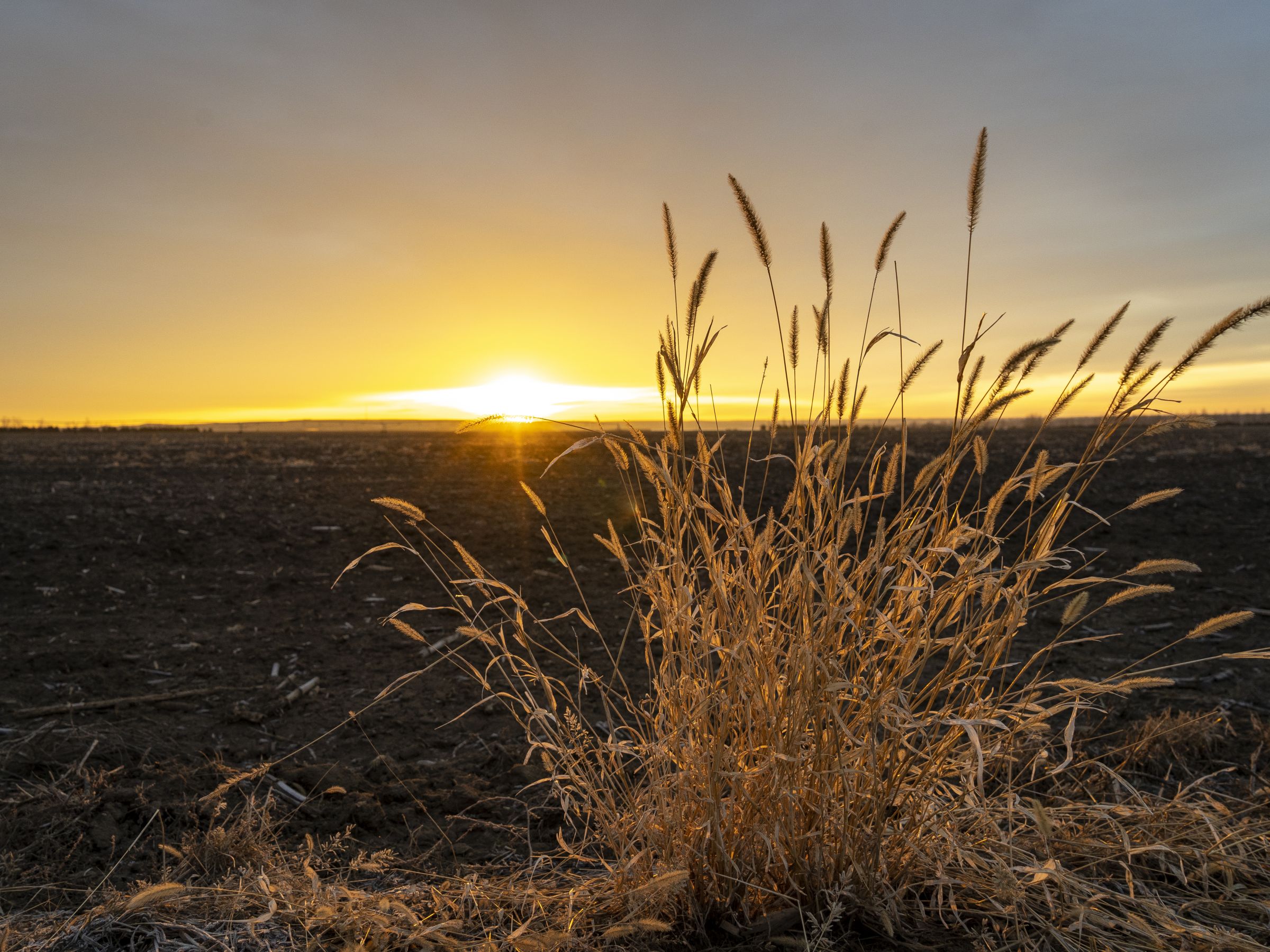 Irrigated Farmland Available - 1624 Acres M/L - Hughes County, SD