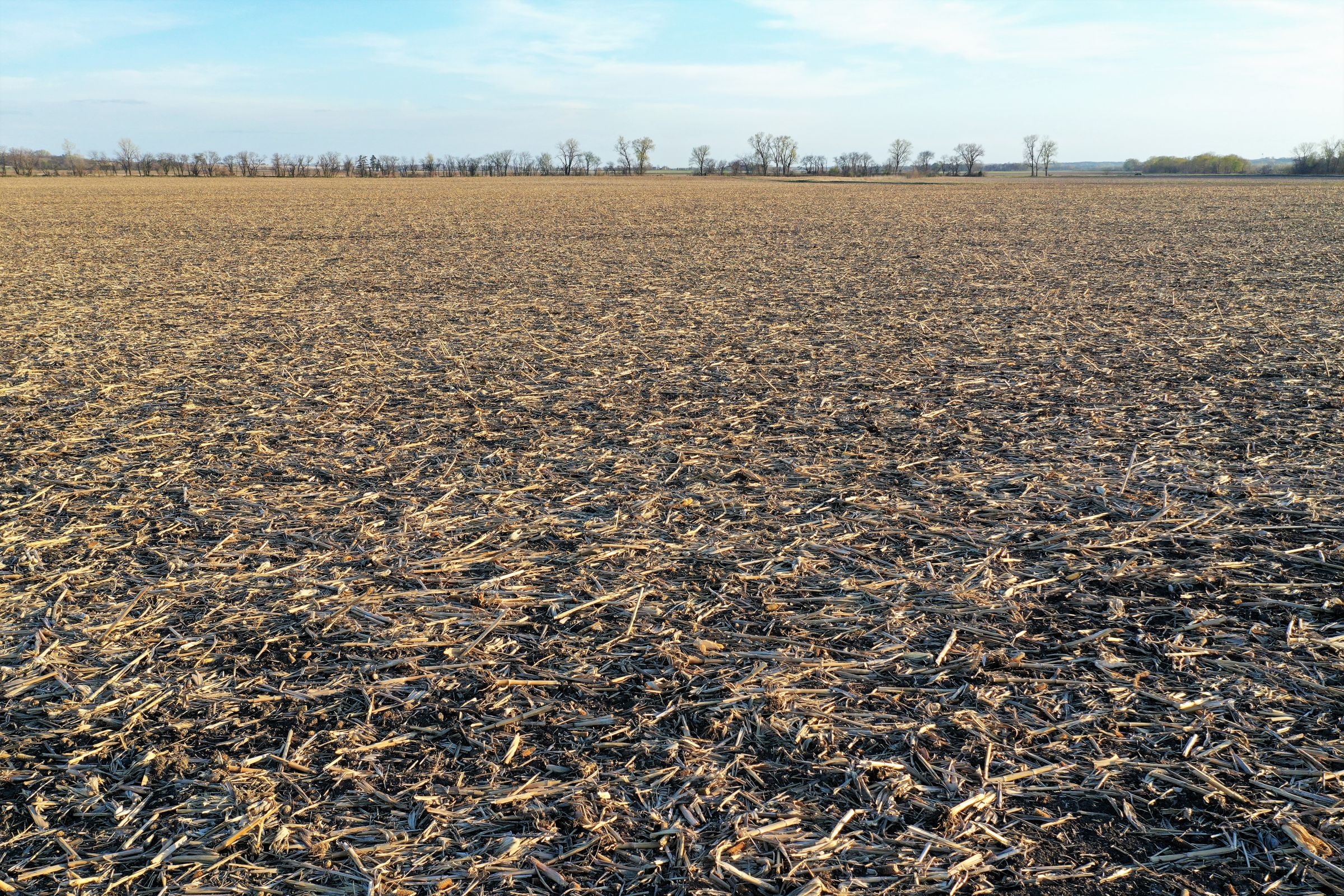 land-page-county-iowa-160-acres-listing-number-14979-0-2020-04-28-163045.jpg