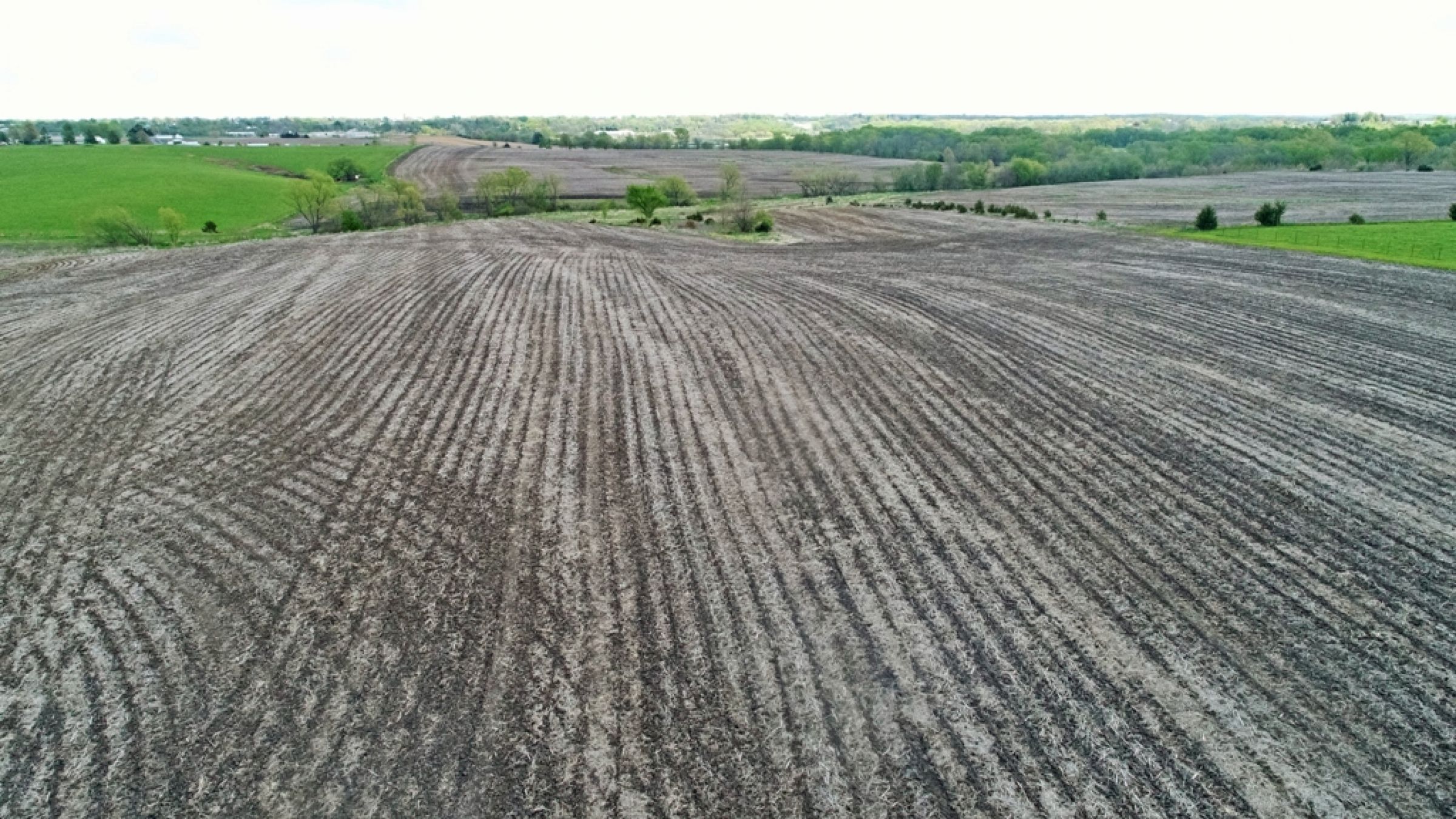 land-lucas-county-iowa-88-acres-listing-number-14991-3-2020-05-06-184045.JPG