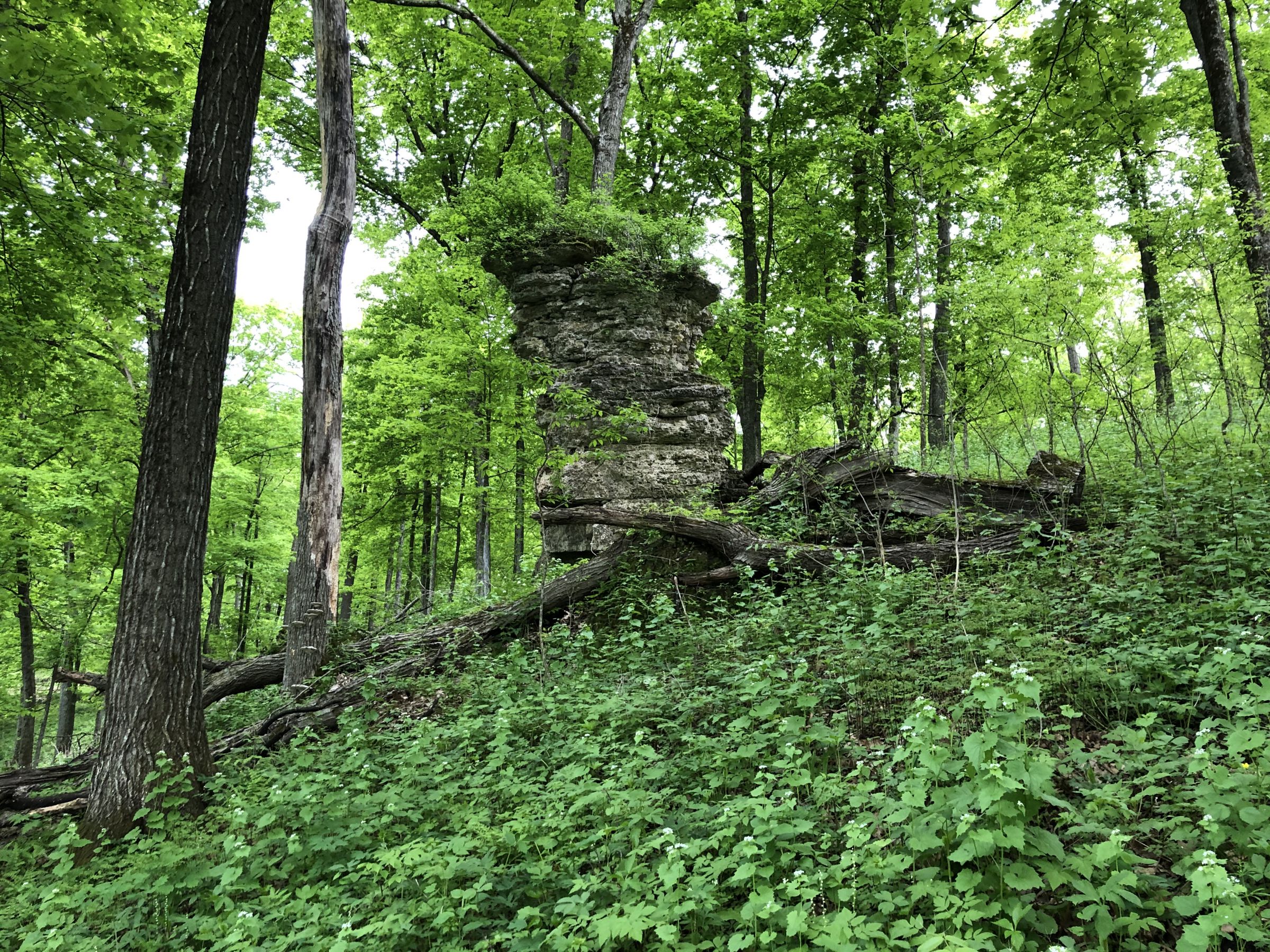 Chimney Rock