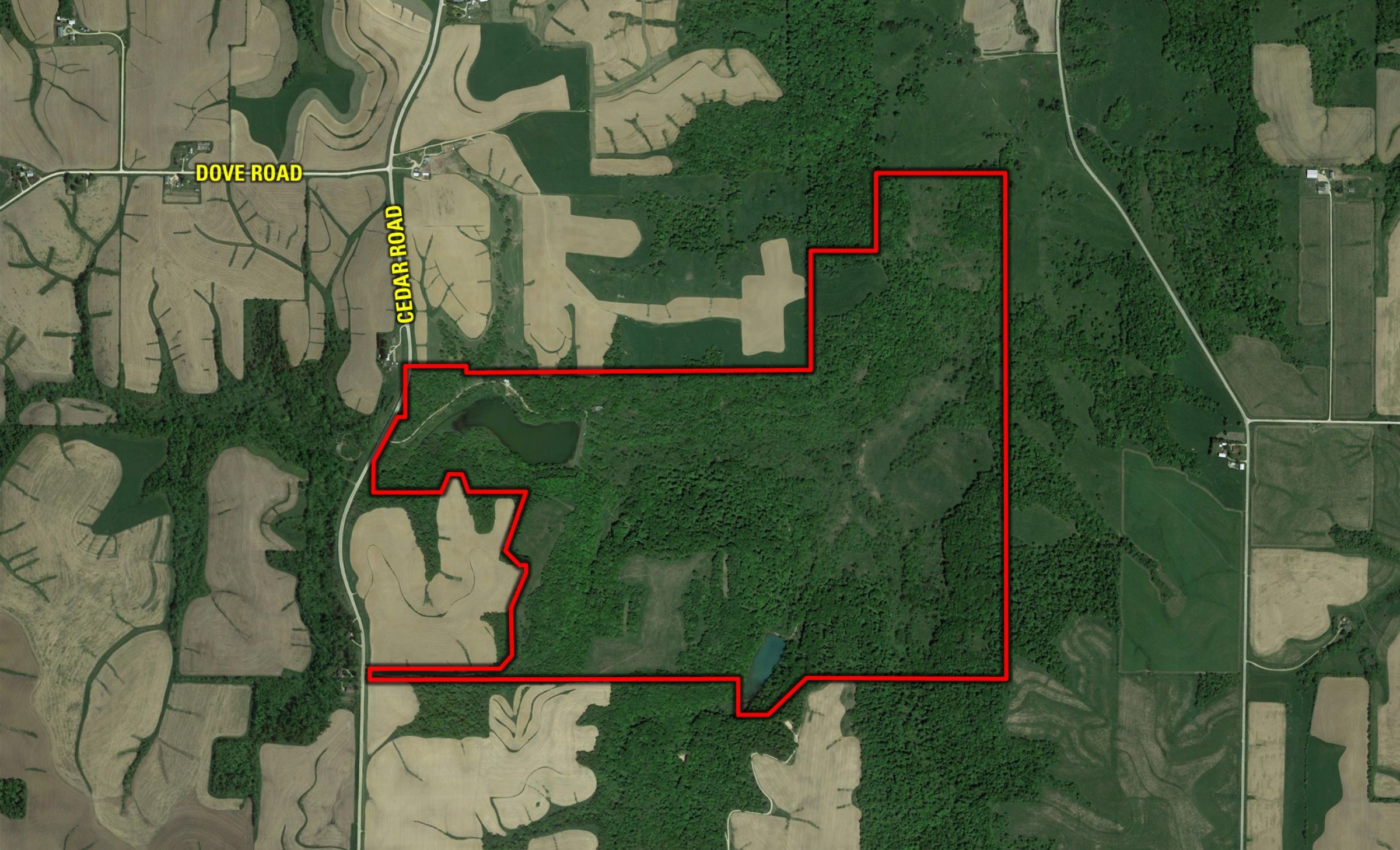 land-fayette-county-iowa-495-acres-listing-number-14992-0-2020-06-12-005438.jpg