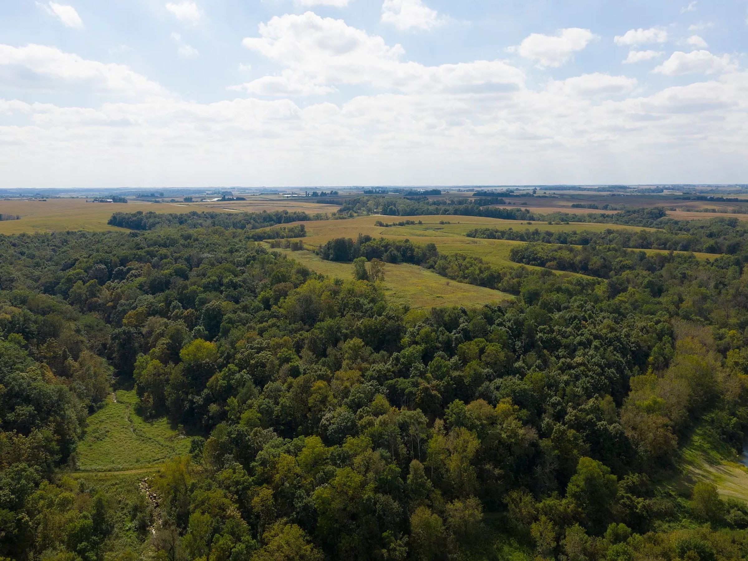 land-fayette-county-iowa-495-acres-listing-number-14992-10-2020-05-08-210244.jpg