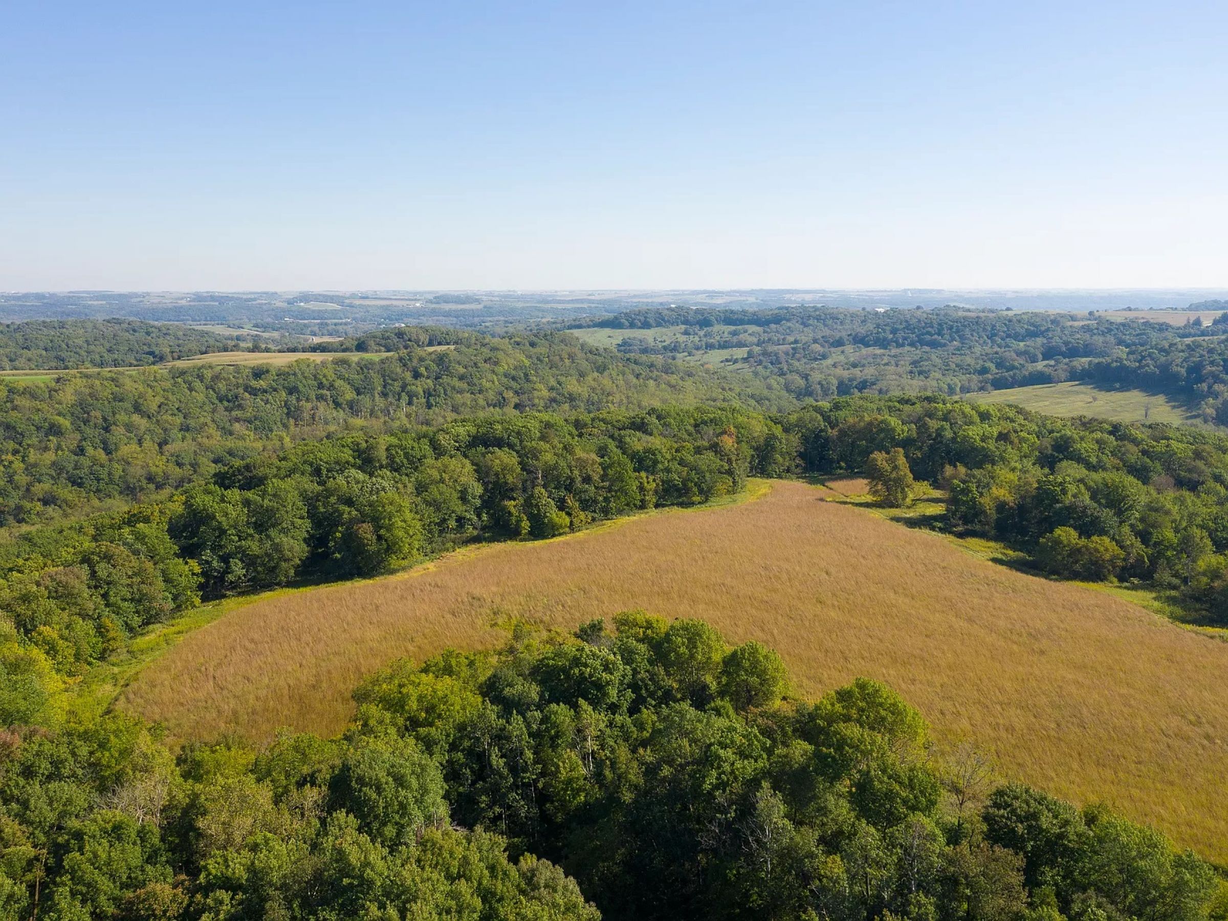 land-fayette-county-iowa-495-acres-listing-number-14992-11-2020-05-08-210245.jpg