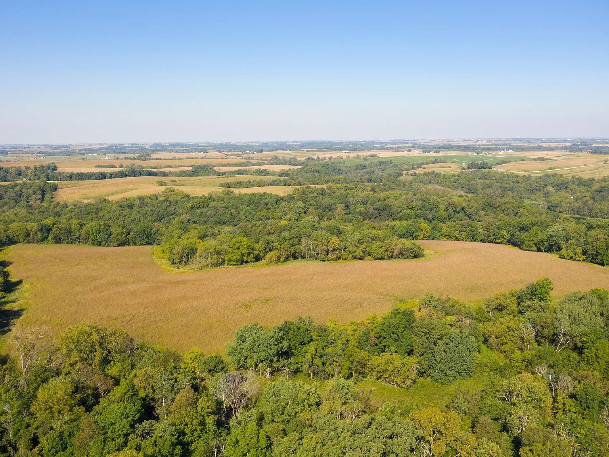 land-fayette-county-iowa-495-acres-listing-number-14992-12-2020-05-08-210245.jpg