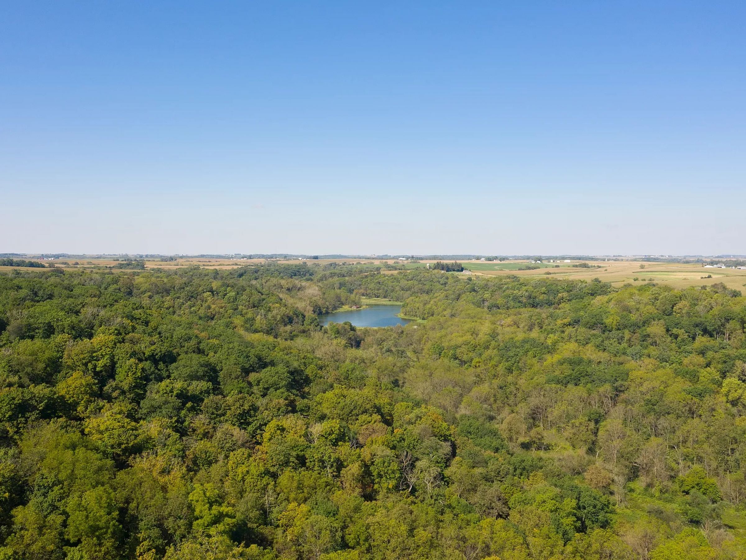 land-fayette-county-iowa-495-acres-listing-number-14992-6-2020-05-08-210242.jpg