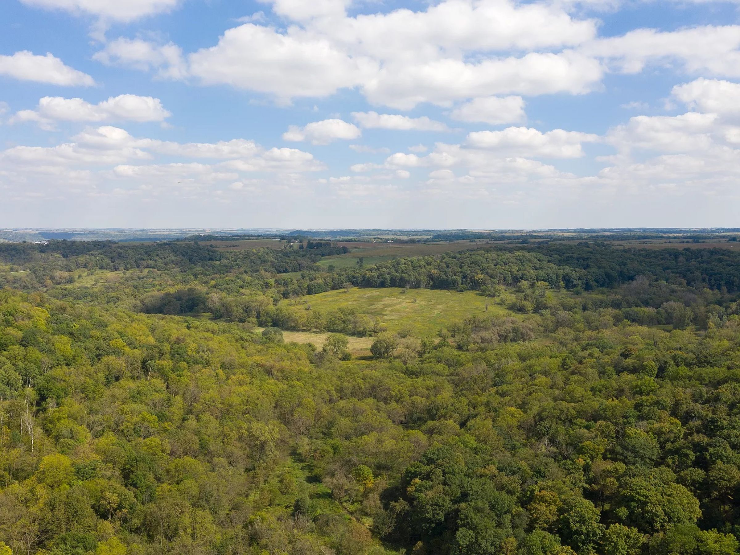 land-fayette-county-iowa-495-acres-listing-number-14992-9-2020-05-08-210243.jpg