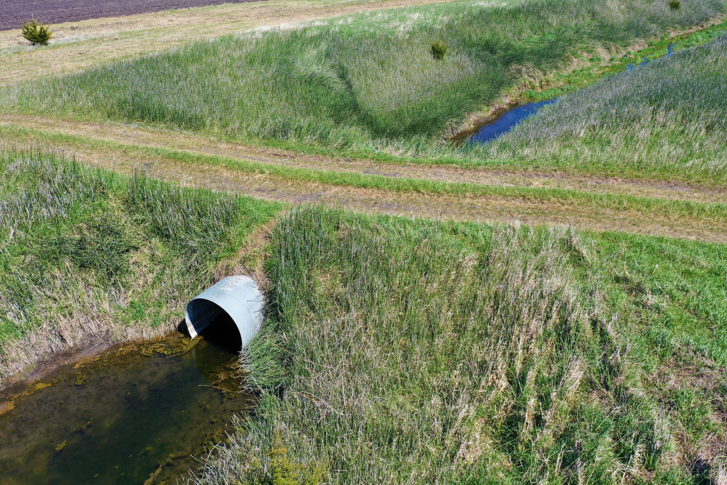 Dallas County, Iowa Farmland for Sale