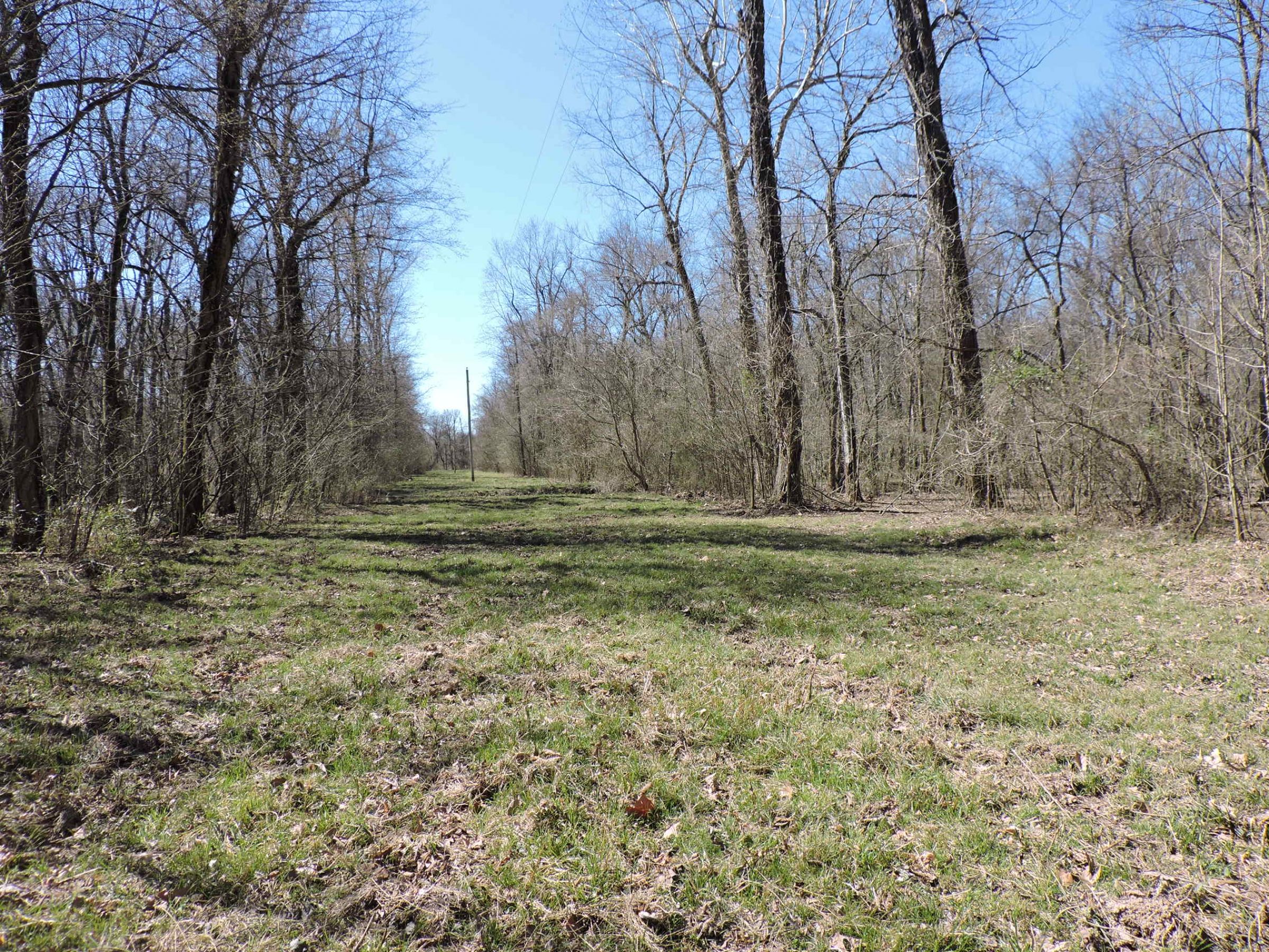 lawrence-county-arkansas-180-acres-listing-number-15014-7-2020-05-28-210443.JPG