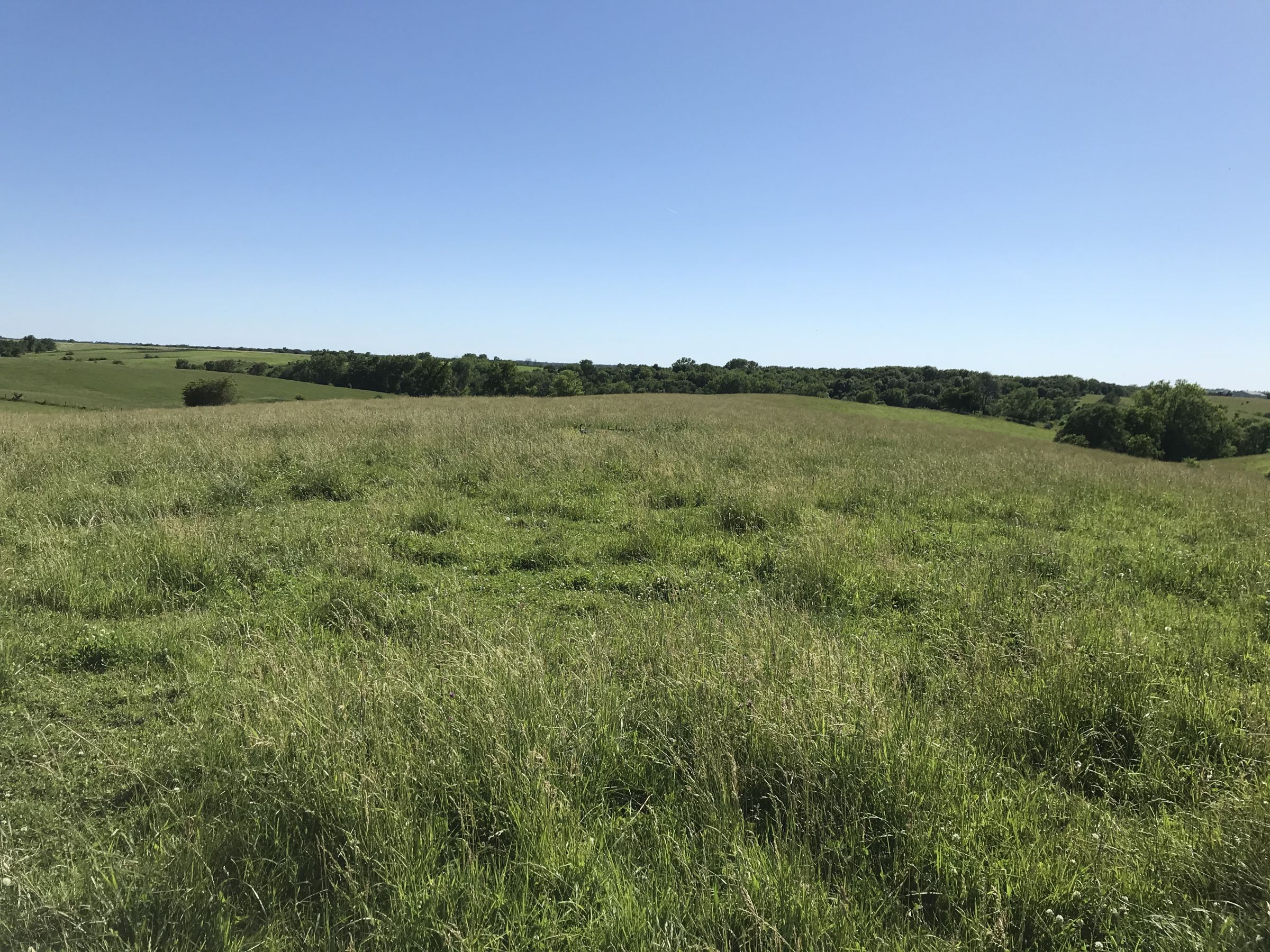 land-warren-county-iowa-20-acres-listing-number-15031-0-2020-06-14-152159.JPG