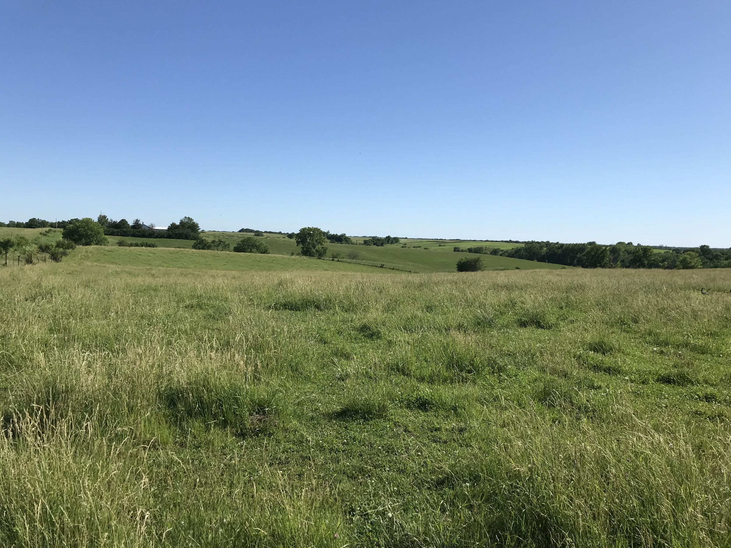 land-warren-county-iowa-20-acres-listing-number-15031-1-2020-06-14-152200.JPG