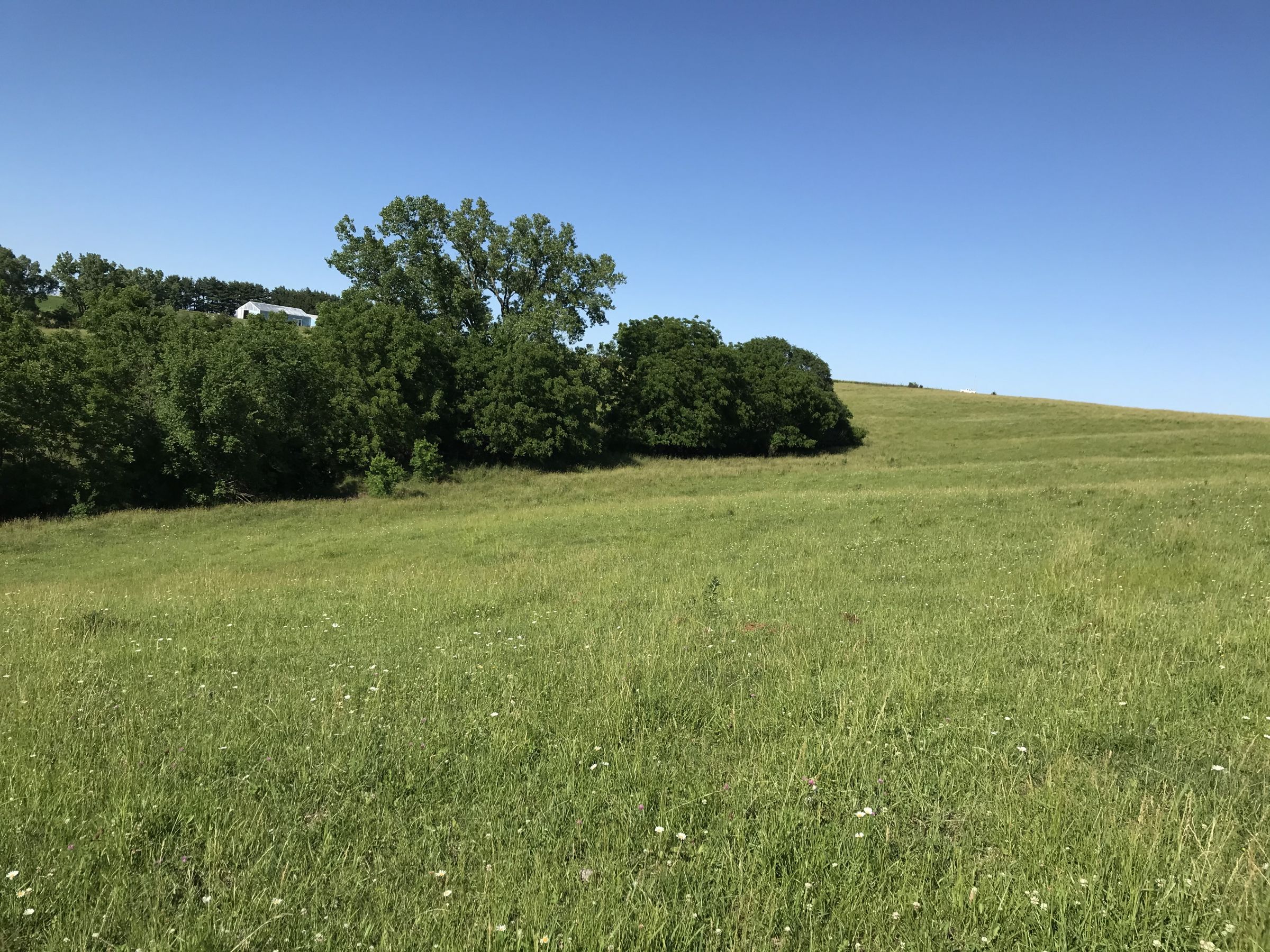 land-warren-county-iowa-20-acres-listing-number-15031-3-2020-06-14-152203.JPG