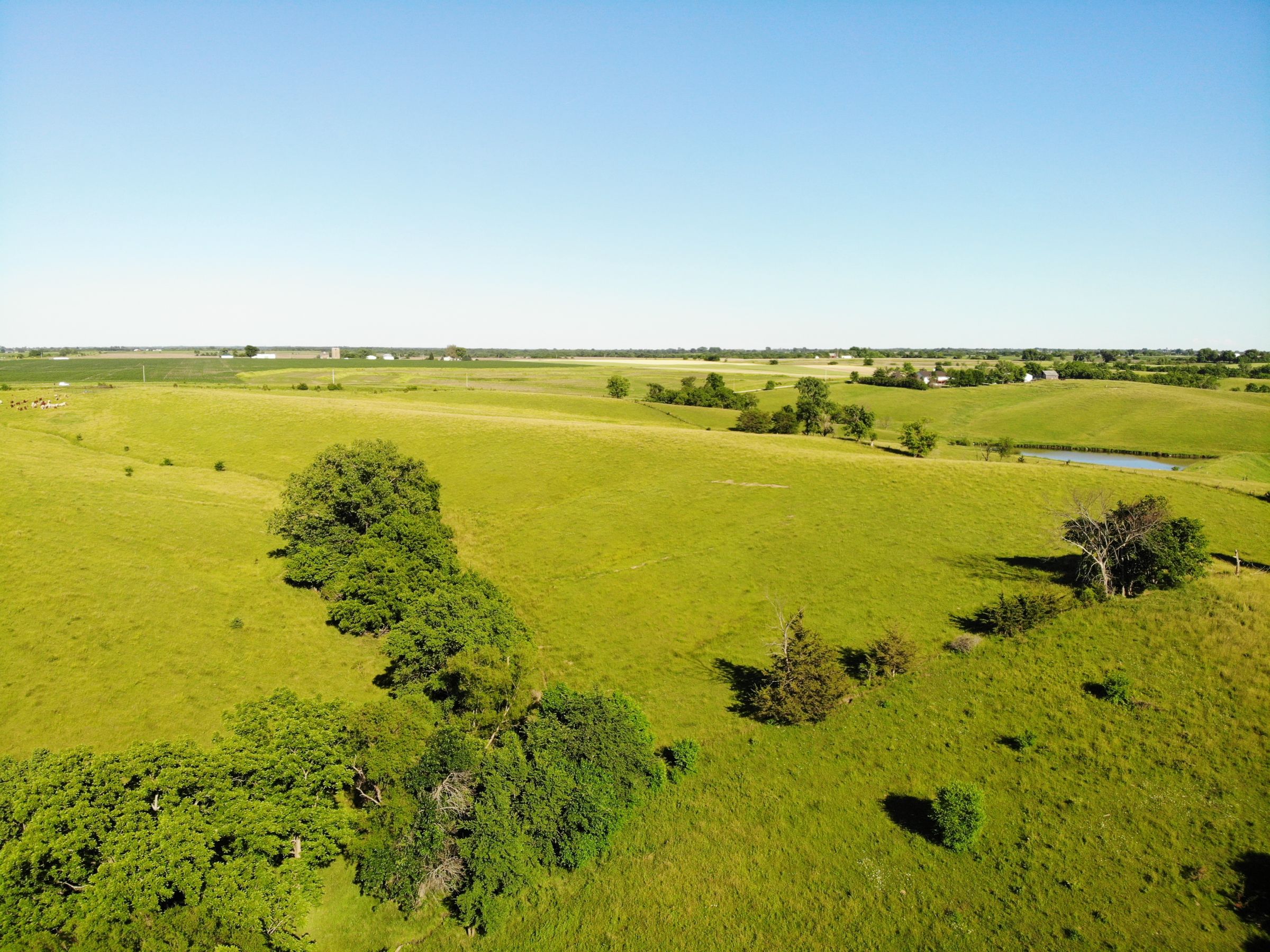 land-warren-county-iowa-20-acres-listing-number-15031-3-2020-06-15-160345.jpg