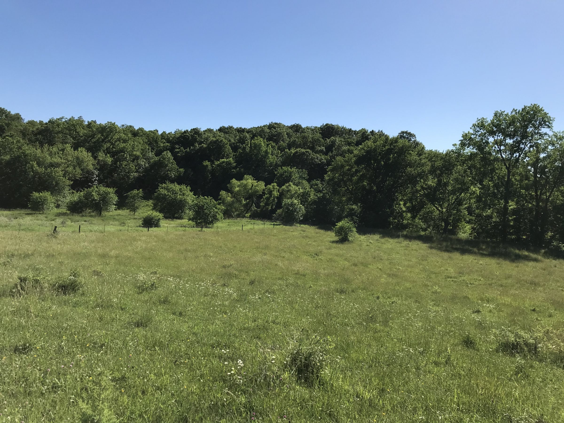 land-warren-county-iowa-60-acres-listing-number-15033-0-2020-06-14-151751.JPG