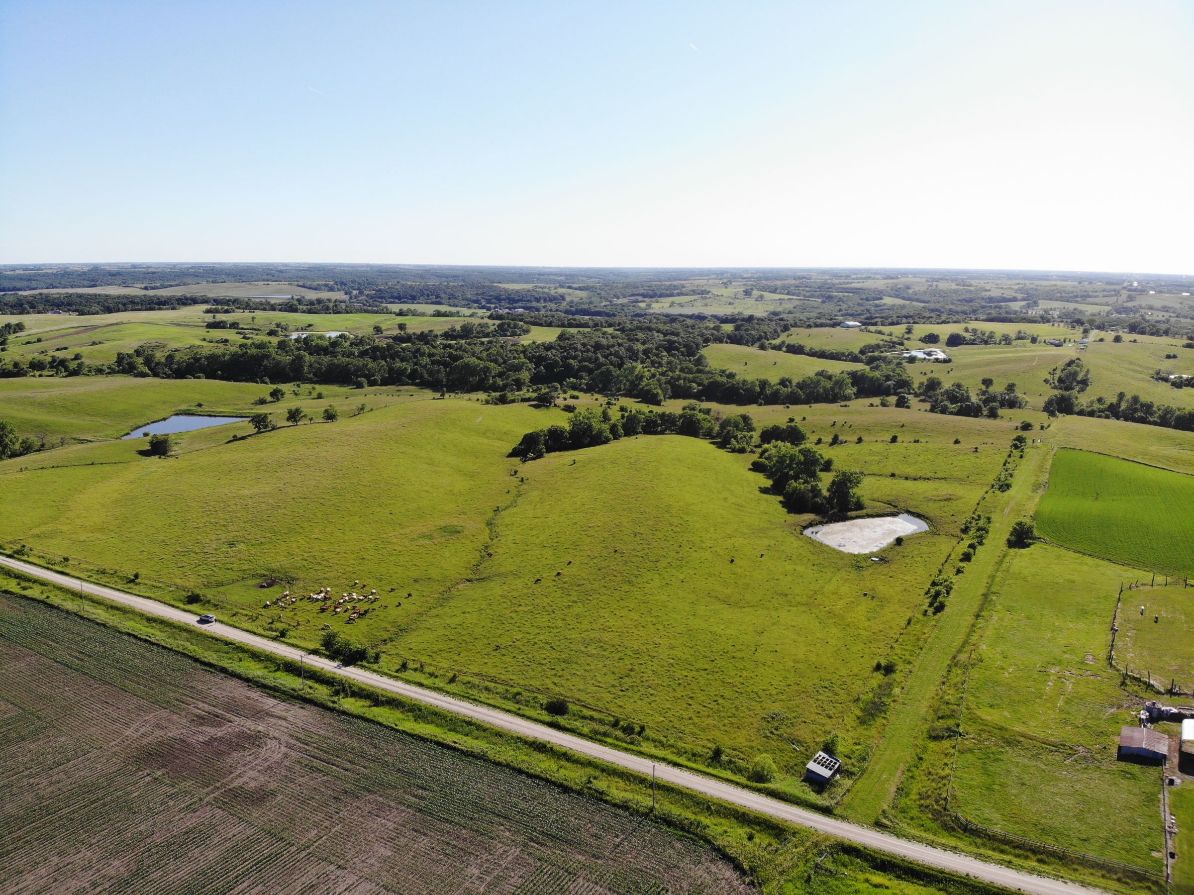 land-warren-county-iowa-60-acres-listing-number-15033-1-2020-06-15-160702.jpg