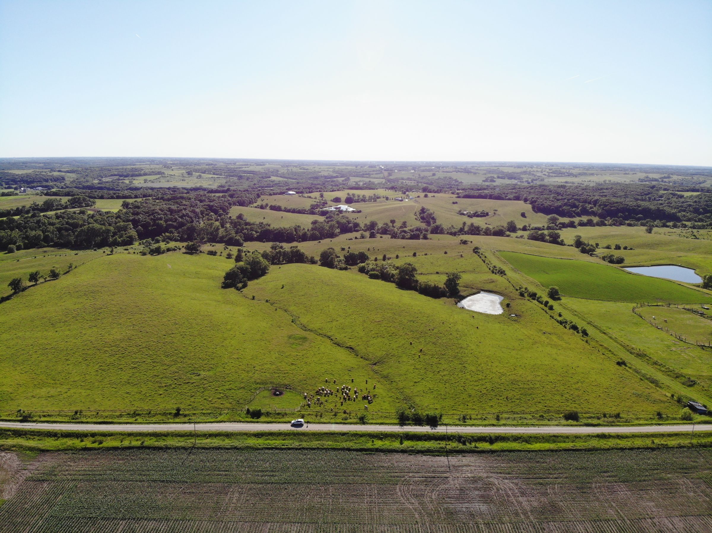 land-warren-county-iowa-60-acres-listing-number-15033-2-2020-06-15-160703.jpg