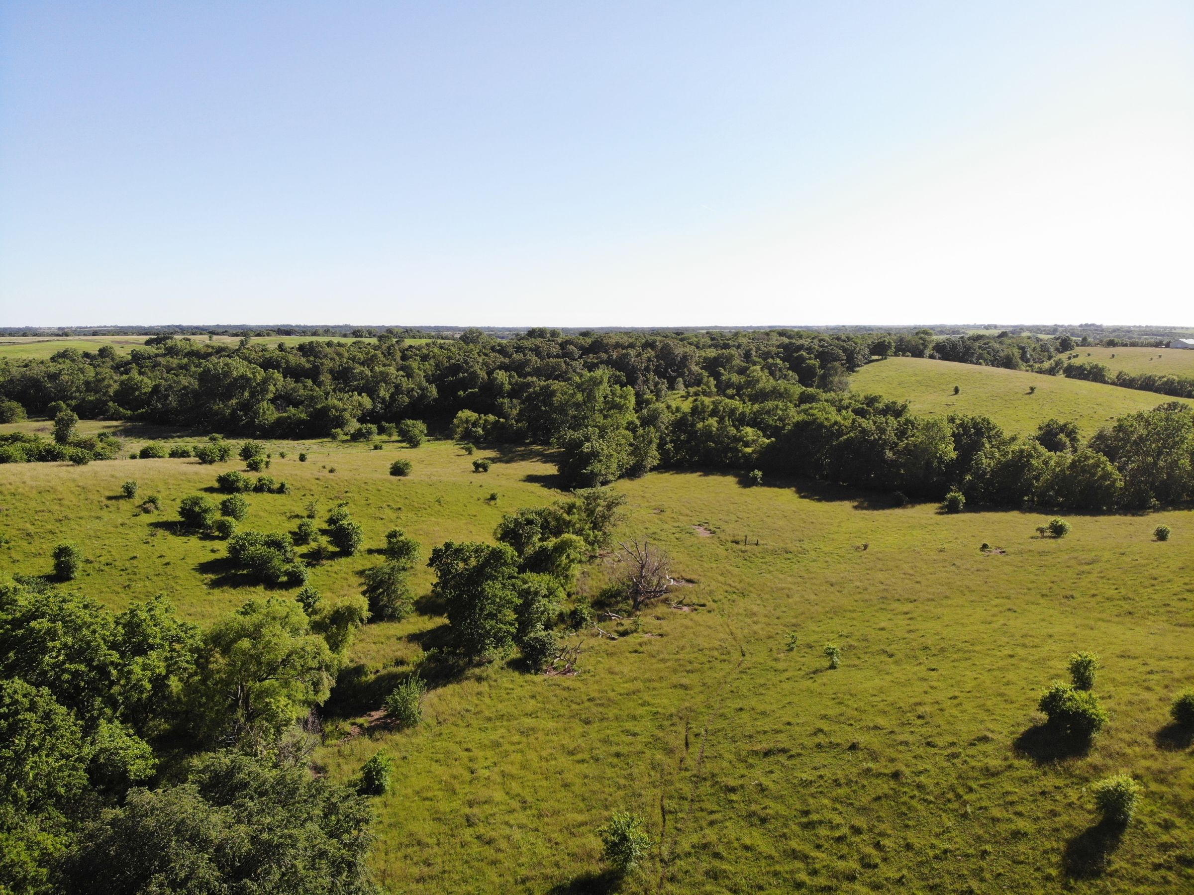 land-warren-county-iowa-60-acres-listing-number-15033-3-2020-06-15-160704.jpg