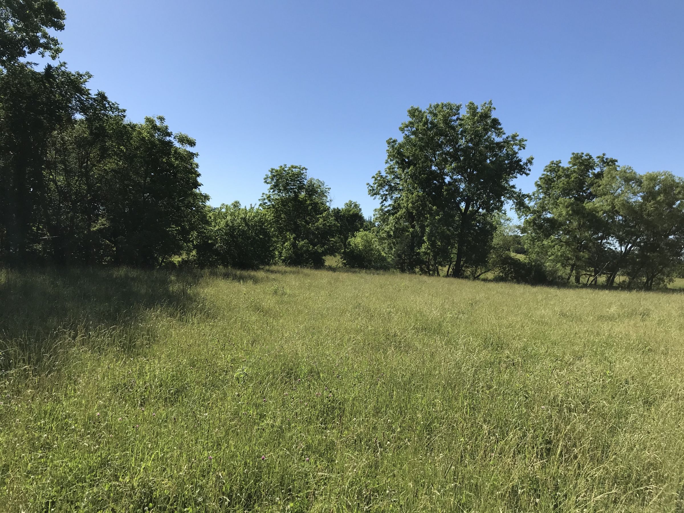 land-warren-county-iowa-60-acres-listing-number-15033-5-2020-06-14-151757.JPG