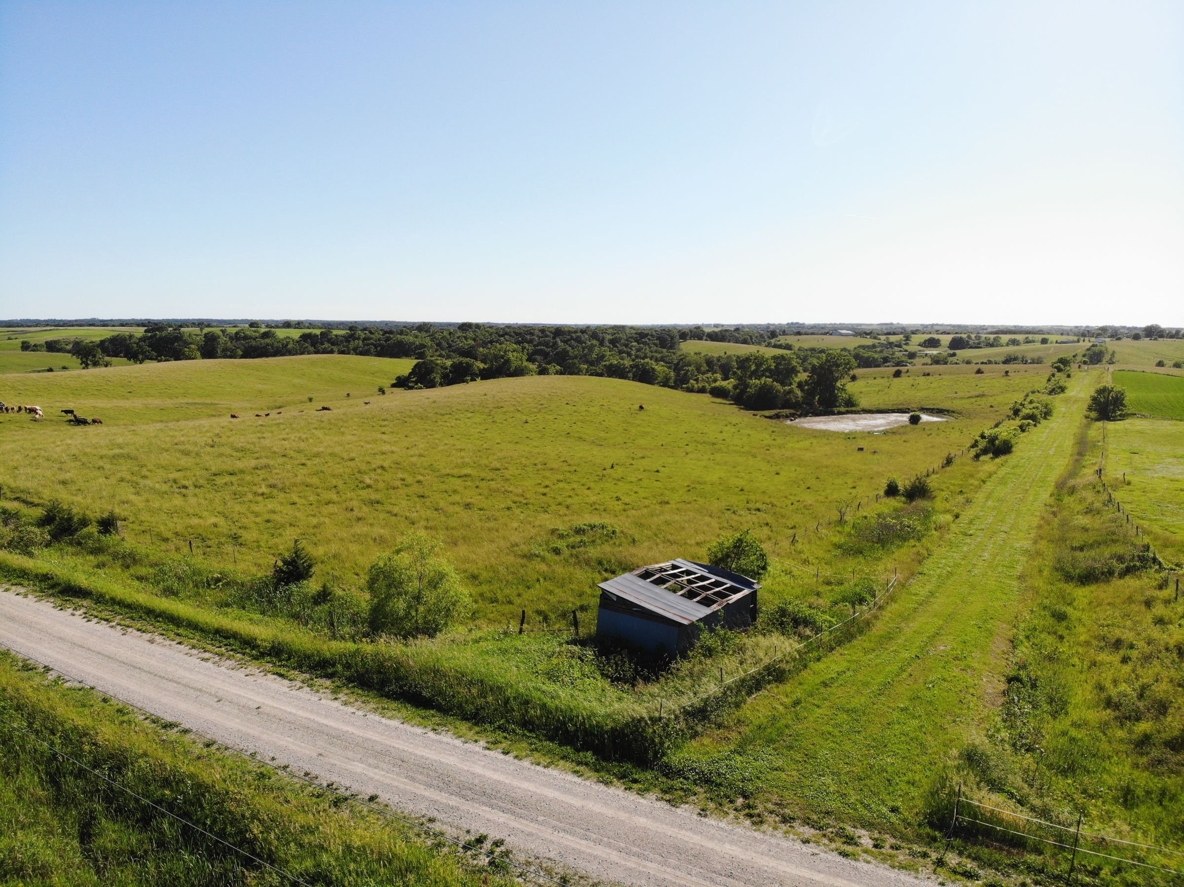 land-warren-county-iowa-60-acres-listing-number-15033-5-2020-06-15-160707.jpg