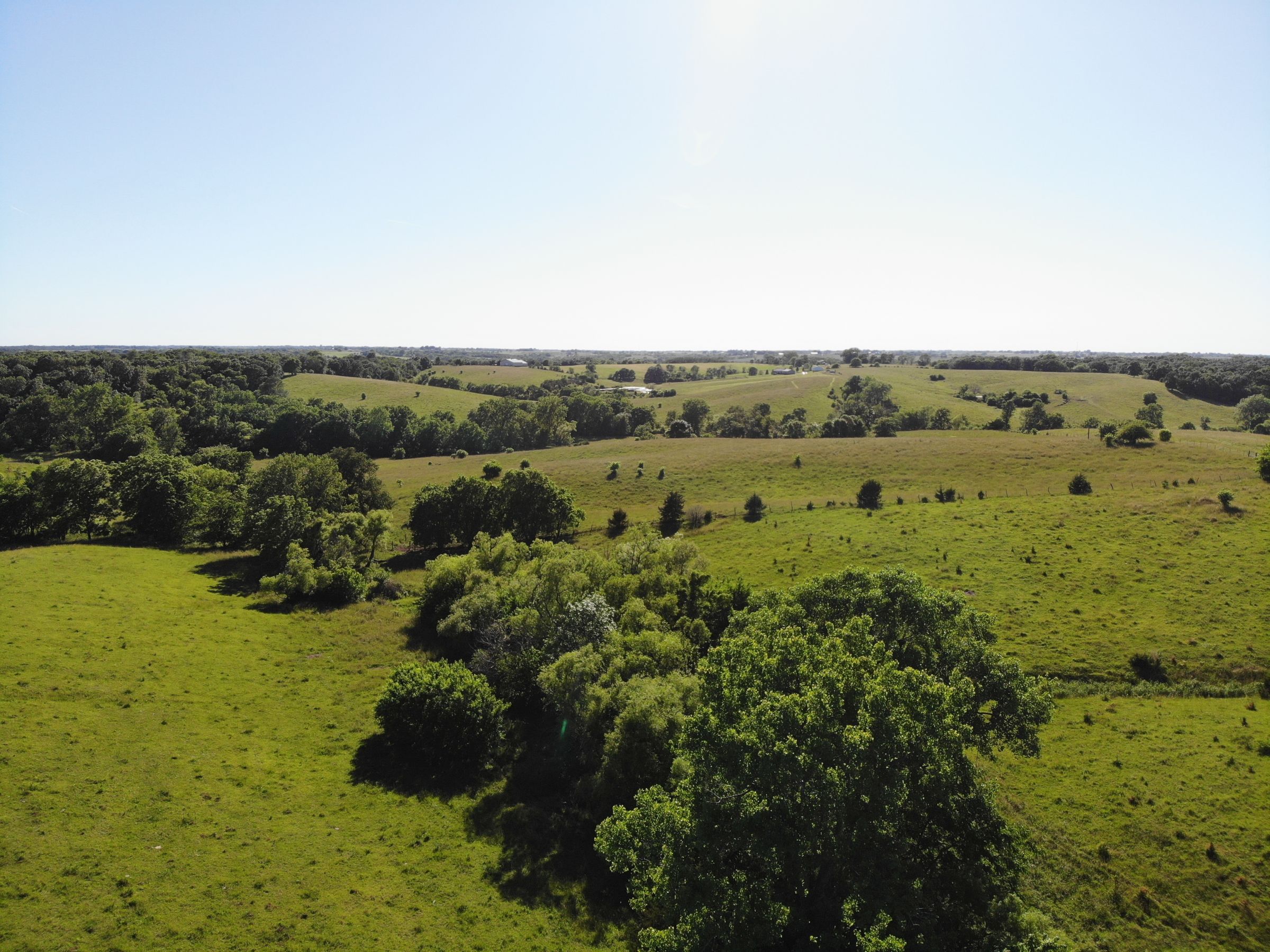 land-warren-county-iowa-60-acres-listing-number-15033-6-2020-06-15-160708.jpg