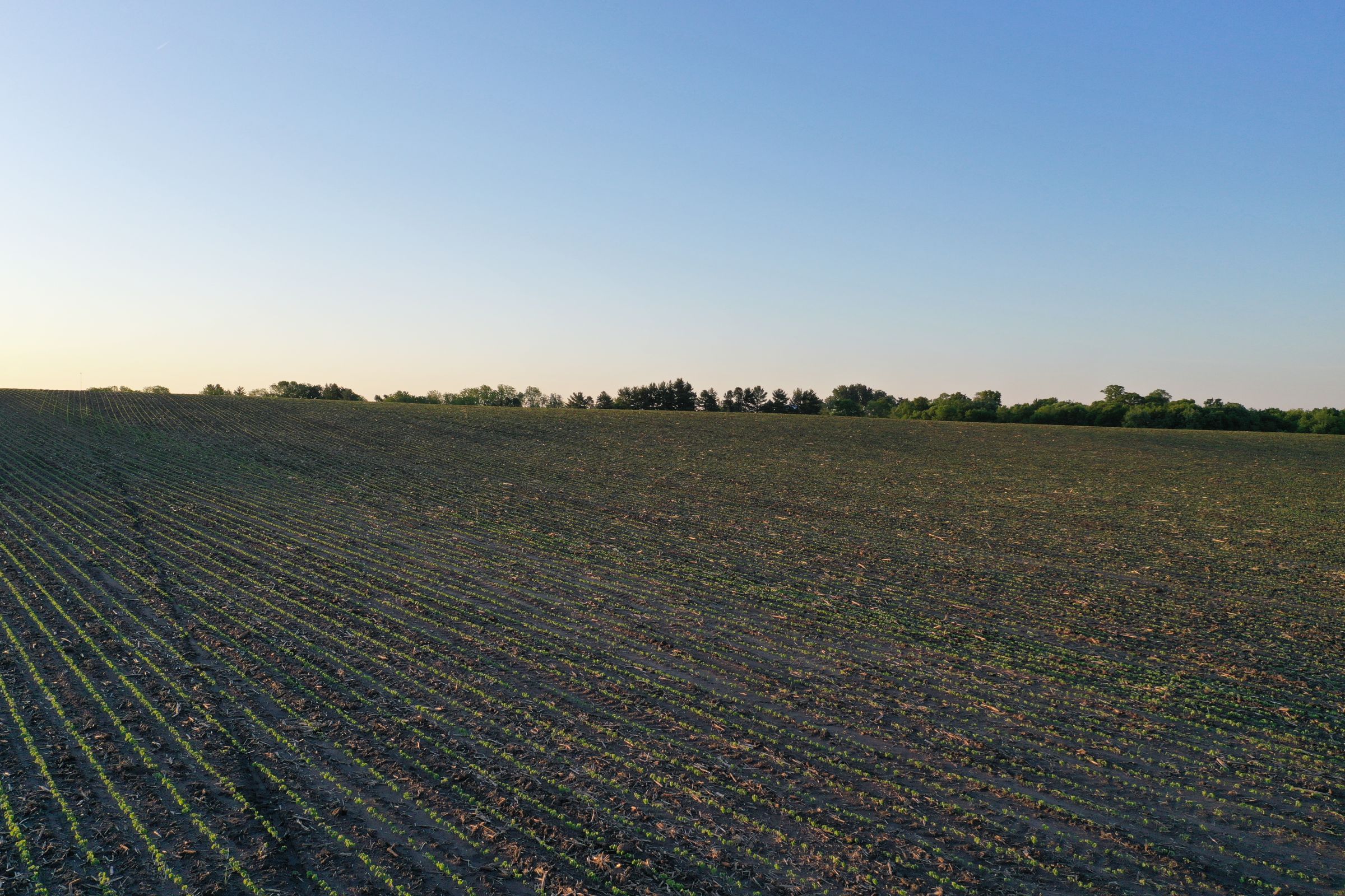 Jasper County Iowa Farm Land for Sale