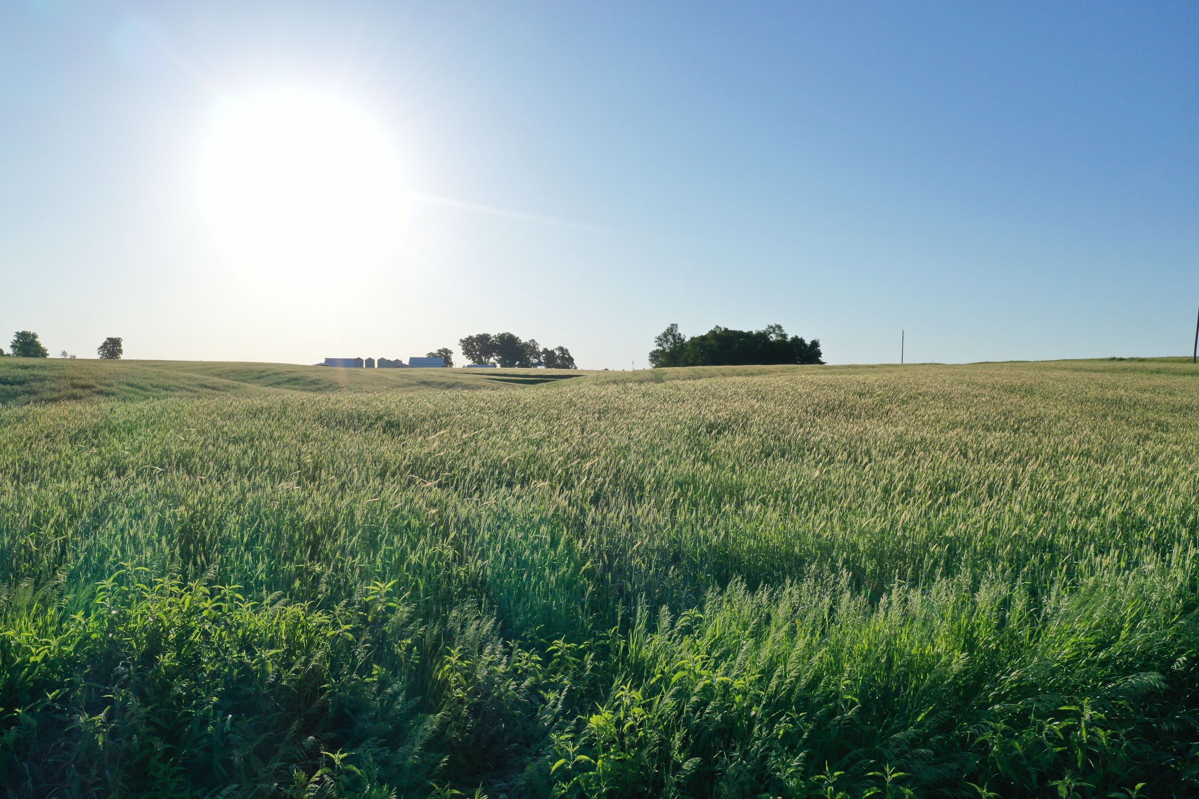 Jasper County Iowa Farm Land for Sale