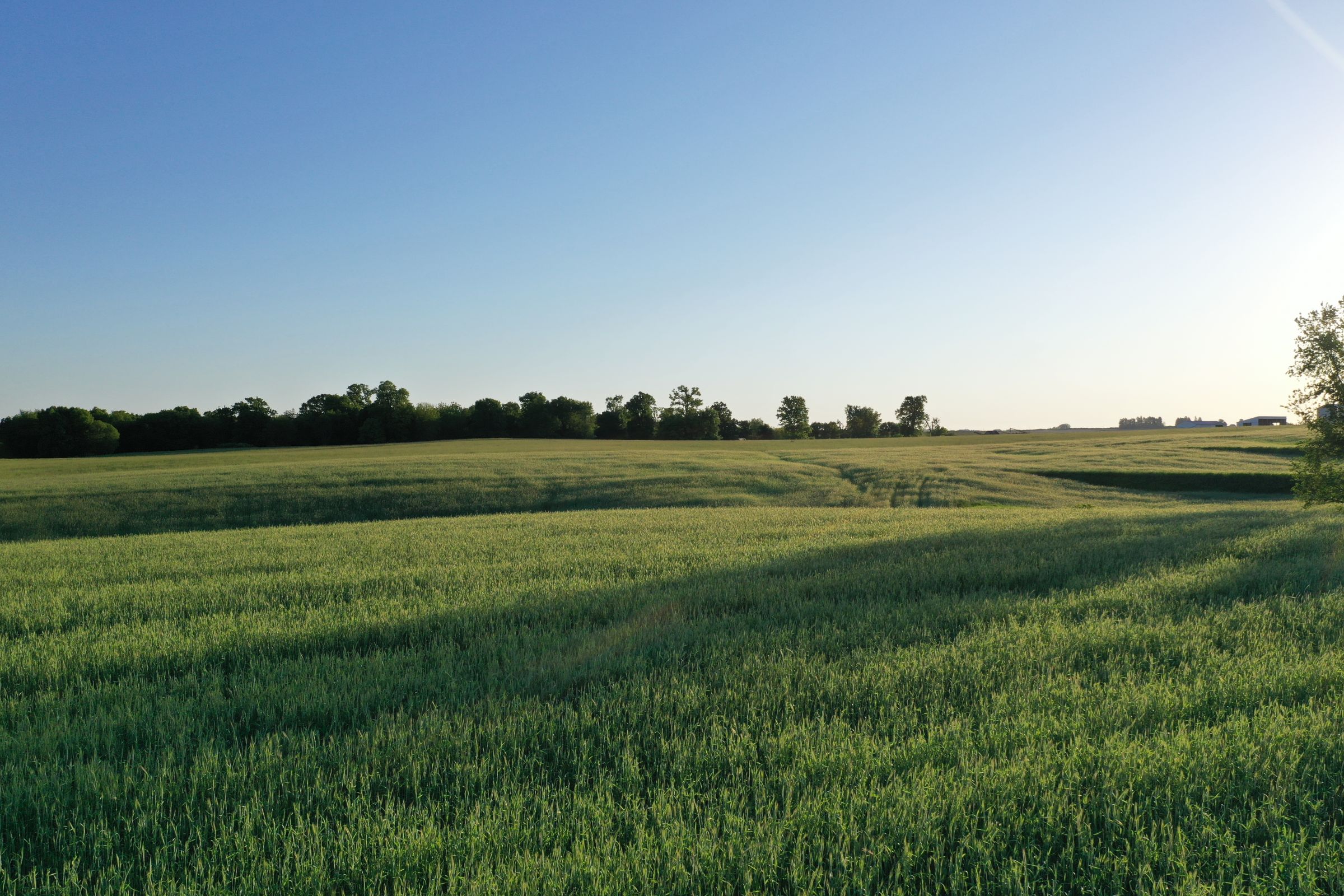 Jasper County Iowa Farm Land for Sale