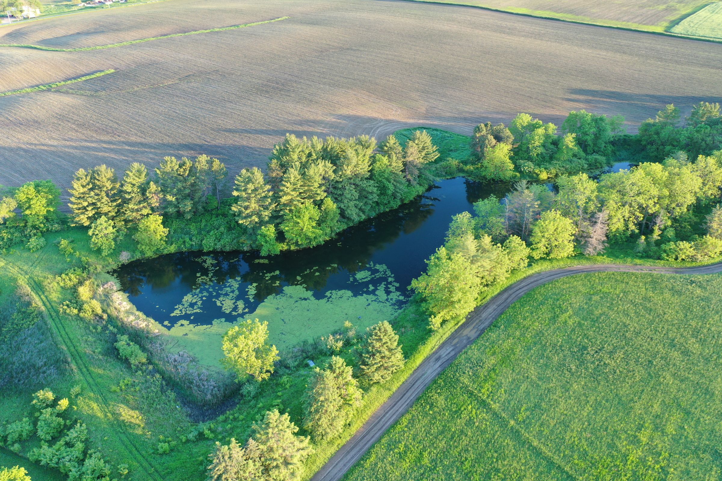 Jasper County Iowa Farm Land for Sale