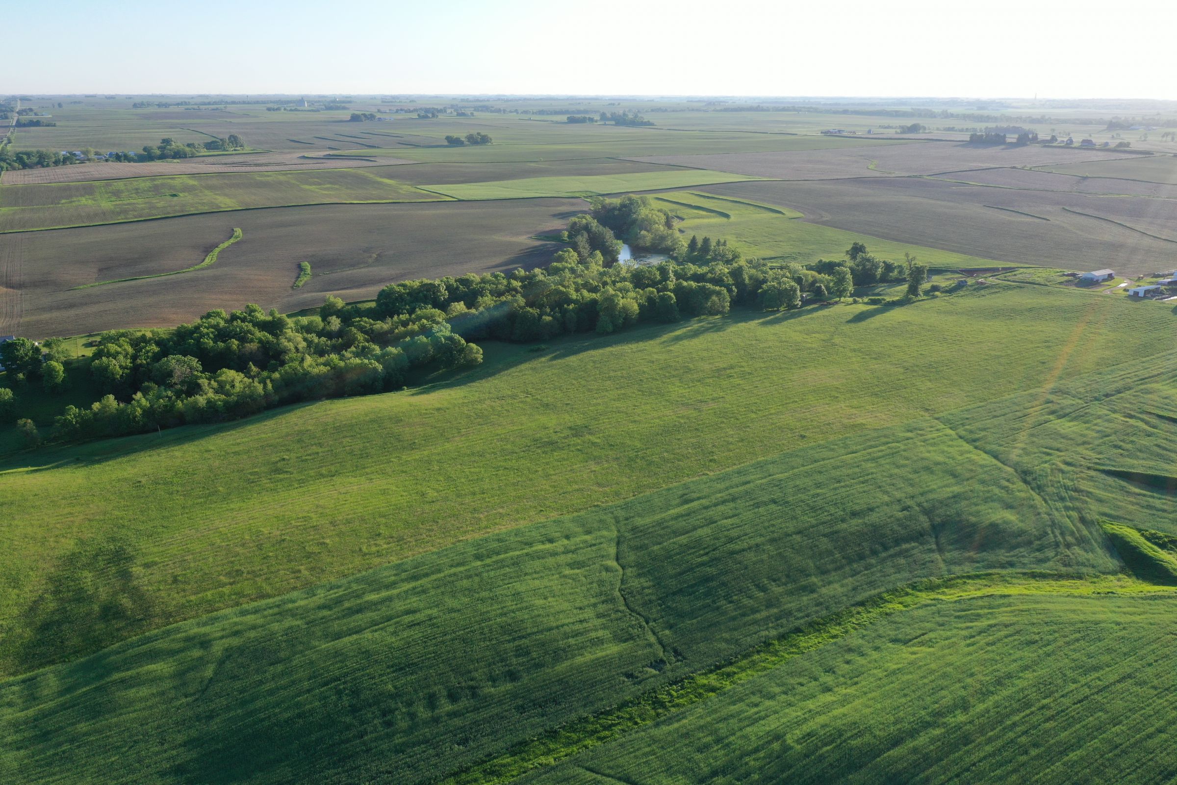 Jasper County Iowa Farm Land for Sale