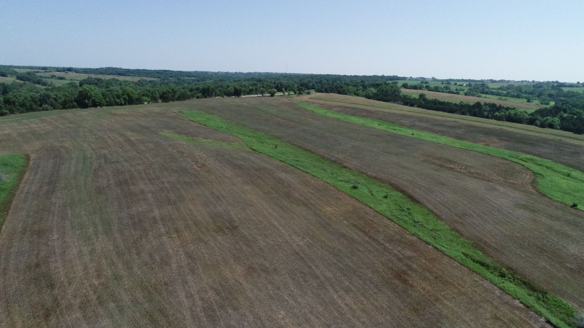 land-decatur-county-iowa-40-acres-listing-number-15069-0-2020-07-13-190423.JPG